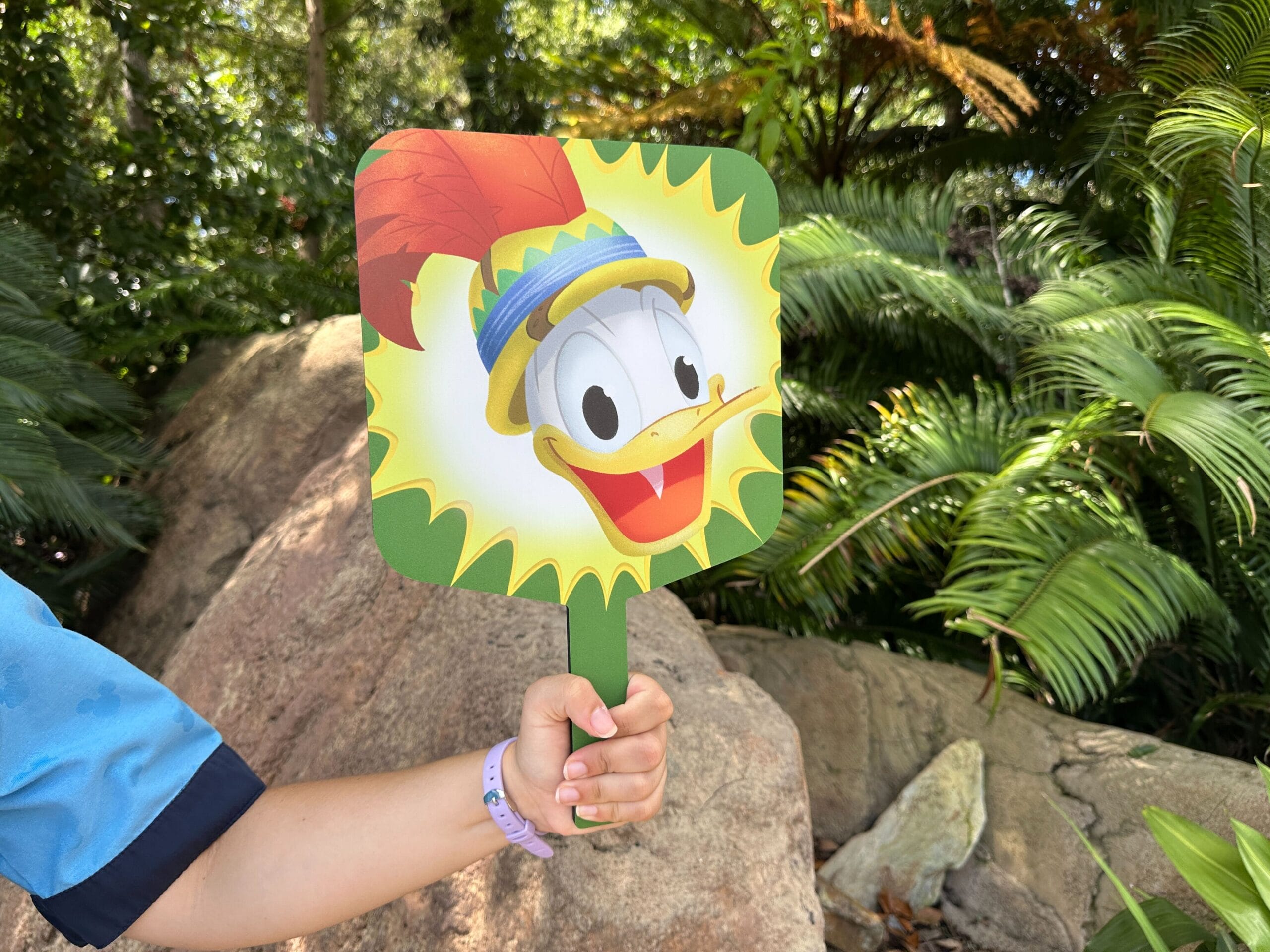 A hand holds a paddle with Donald Duck’s smiling face, like those used for character meet and greet line signage.