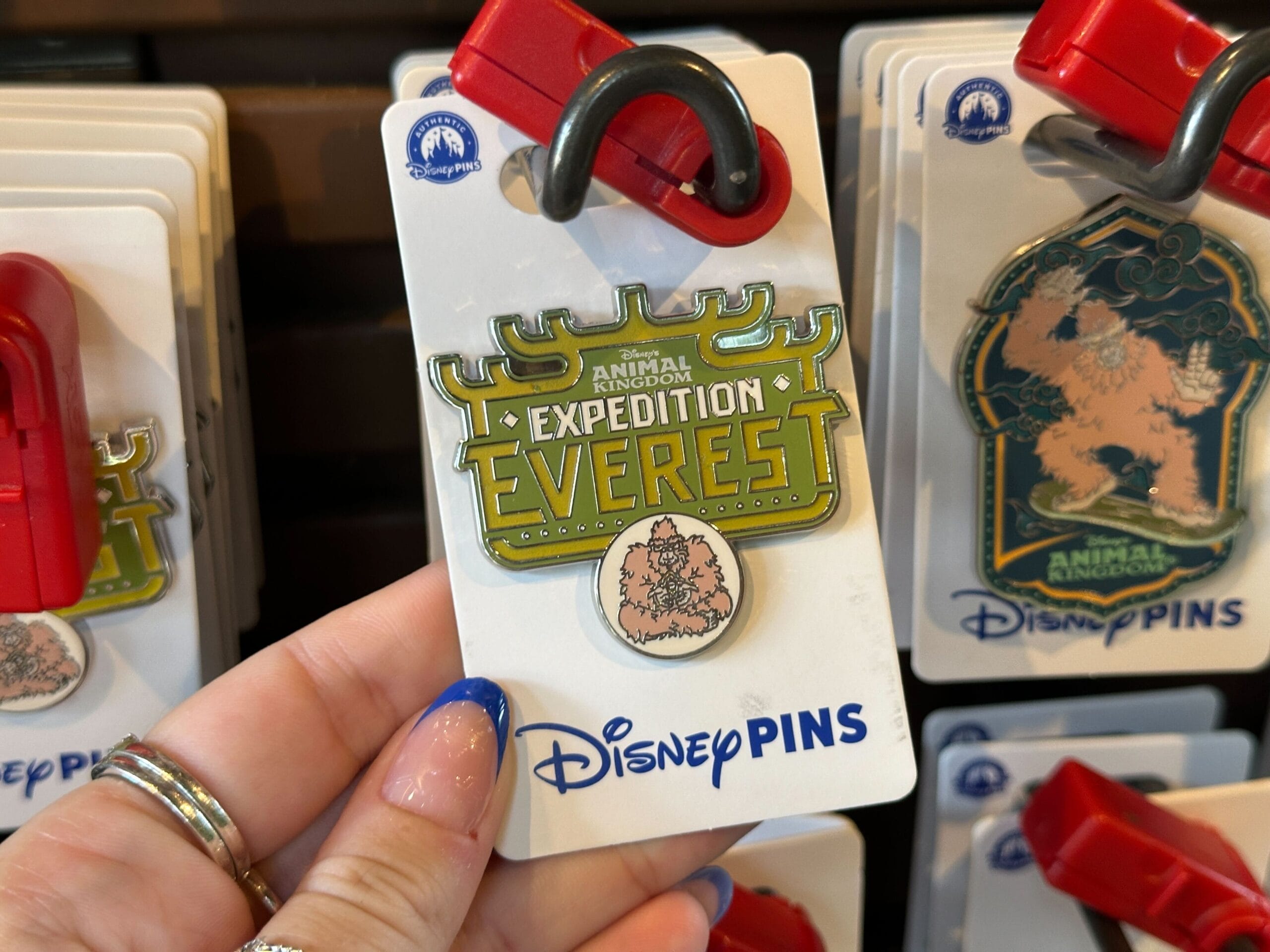 A hand holds a Disney Animal Kingdom Expedition Everest pin in a store display, labeled “Disney Pins.”