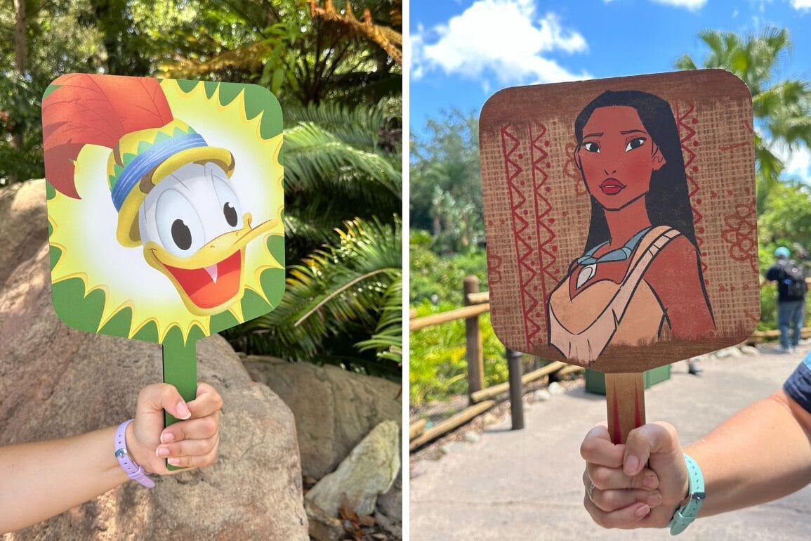Two hands hold up fans with cartoon images of Pocahontas and Donald Duck, like a character meet and greet at Walt Disney World.