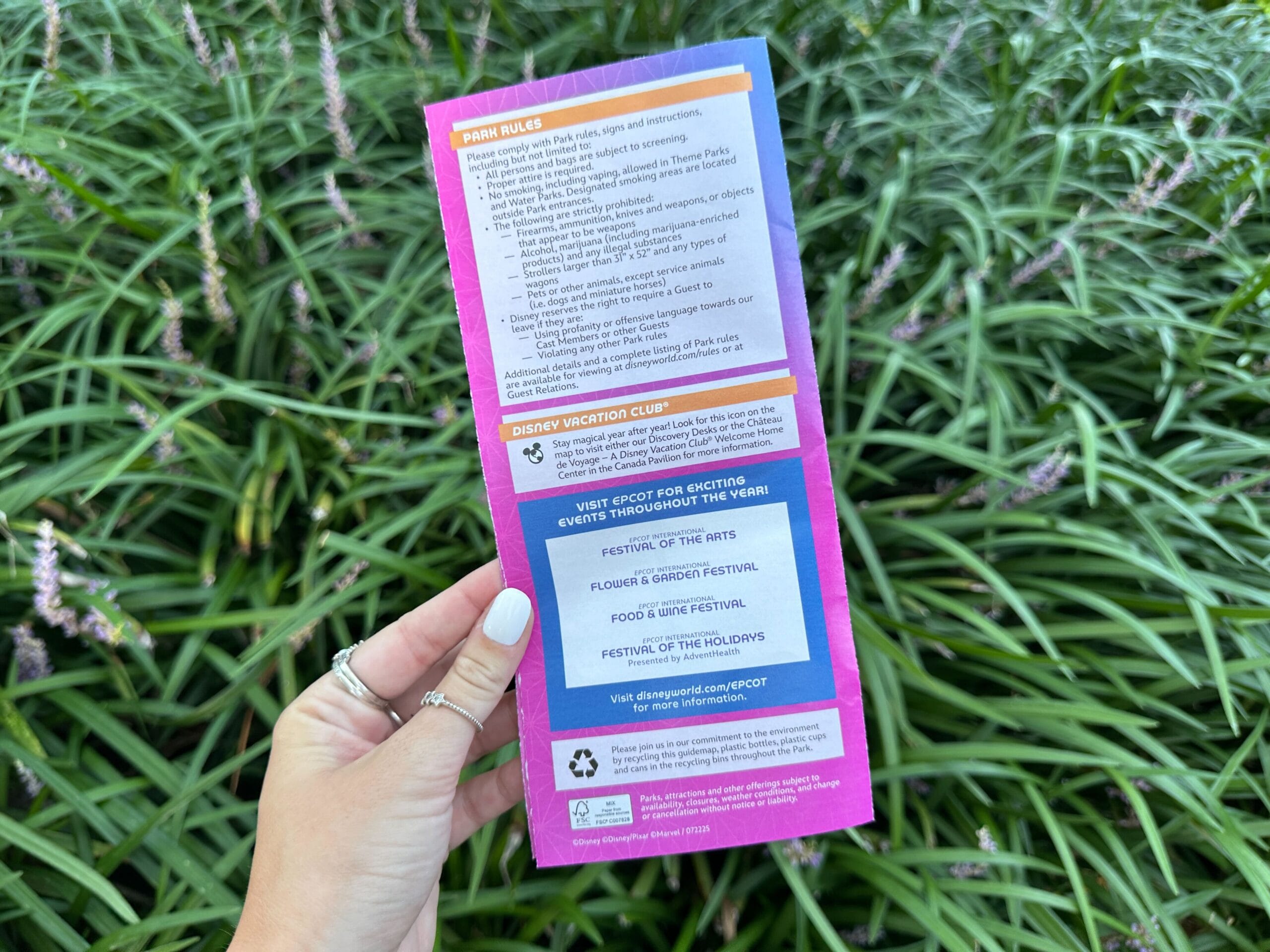A hand holds a colorful New EPCOT pamphlet with event info and rules, against green grass-like plants.