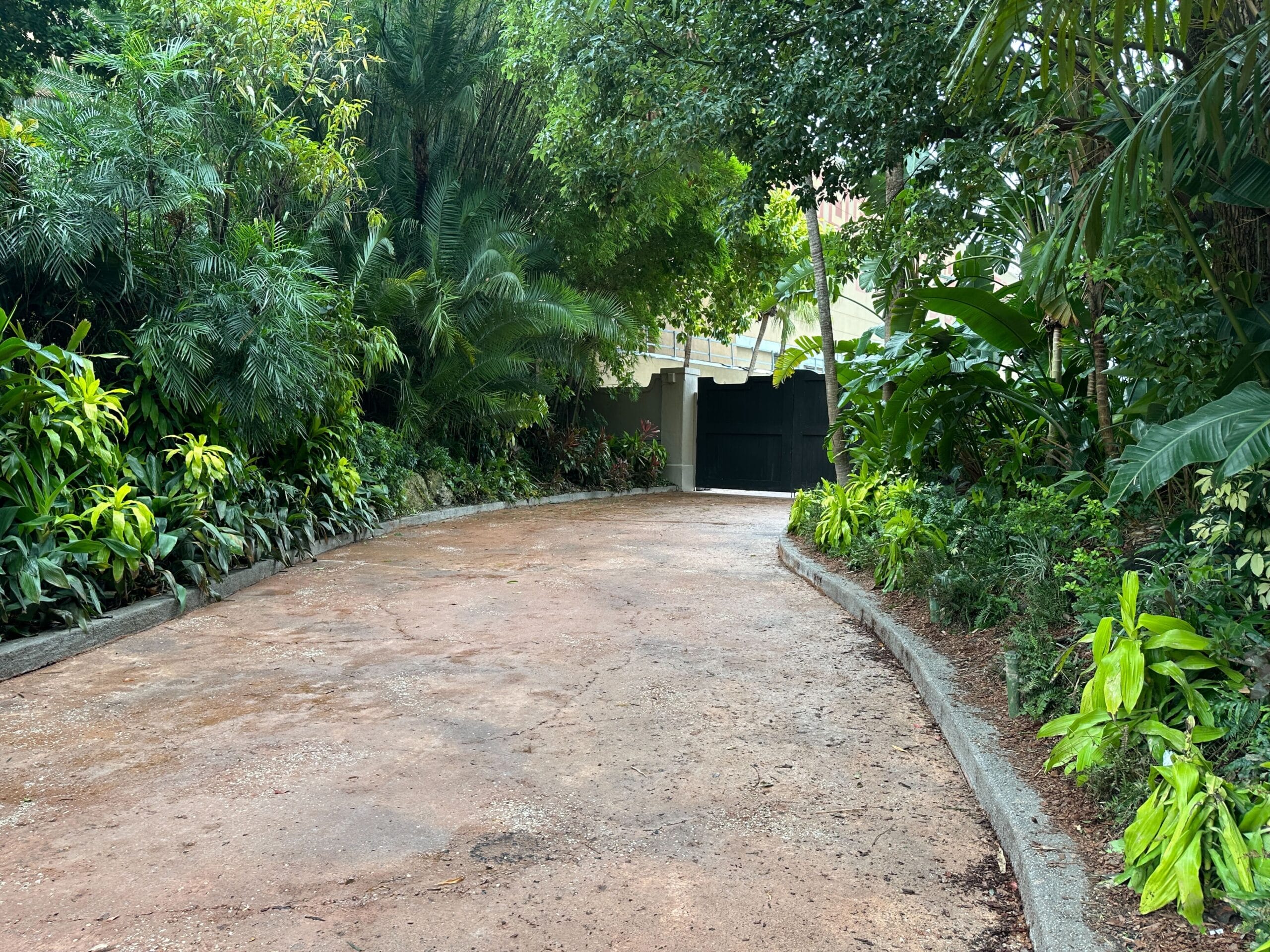A curved driveway surrounded by lush green plants leads to a closed black gate.