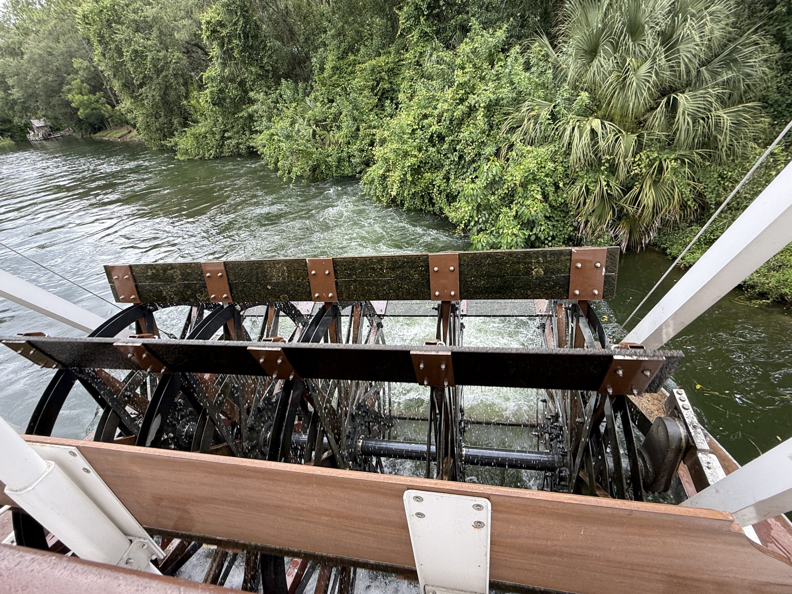 View of the Liberty Square Riverboat paddlewheel turning in the water beside lush green trees at Magic Kingdom.