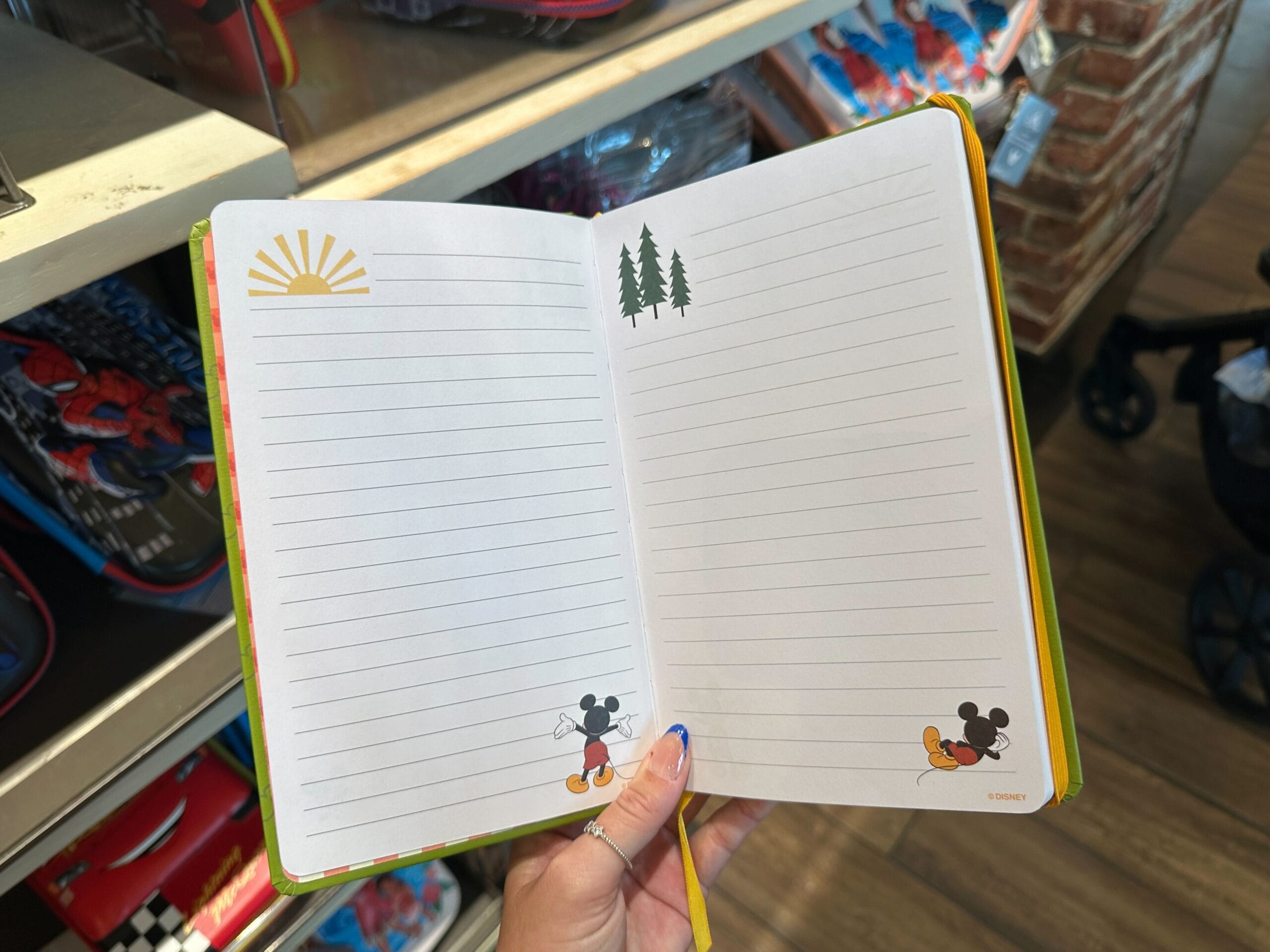 A hand holds open a lined notebook featuring Walt Disney World and nature illustrations on the pages.