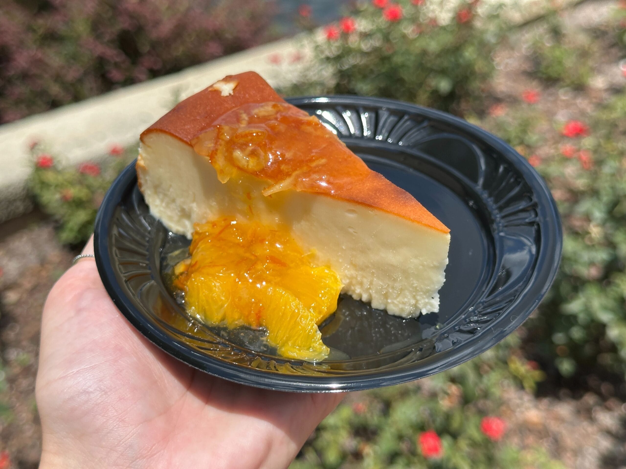 A slice of cheesecake with orange marmalade topping on a black plate, perfect for a Food & Wine outdoor moment.