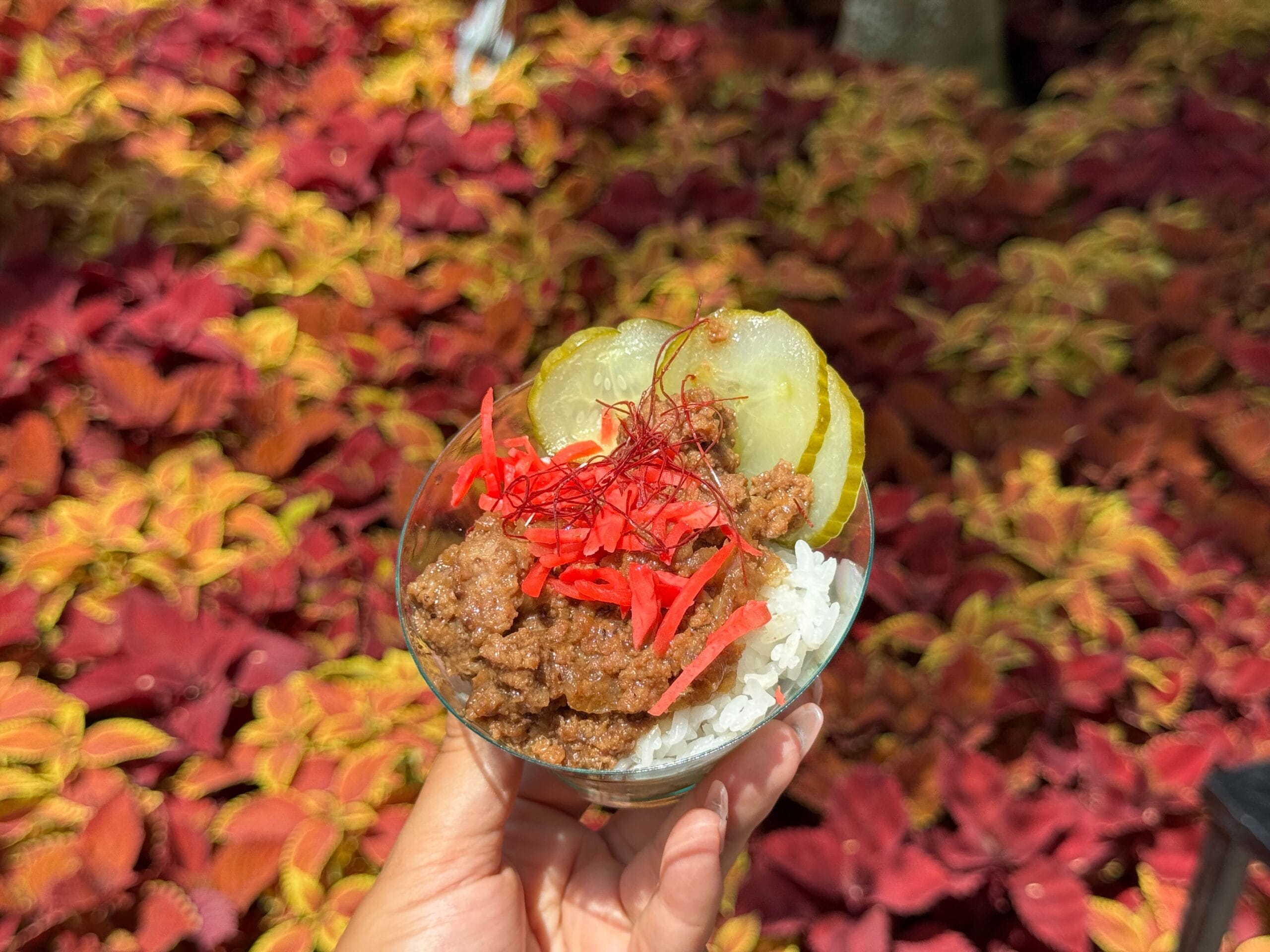 A hand holds a bowl of rice with ground meat and pickles—perfect for any Food & Wine enthusiast—against a leafy background.
