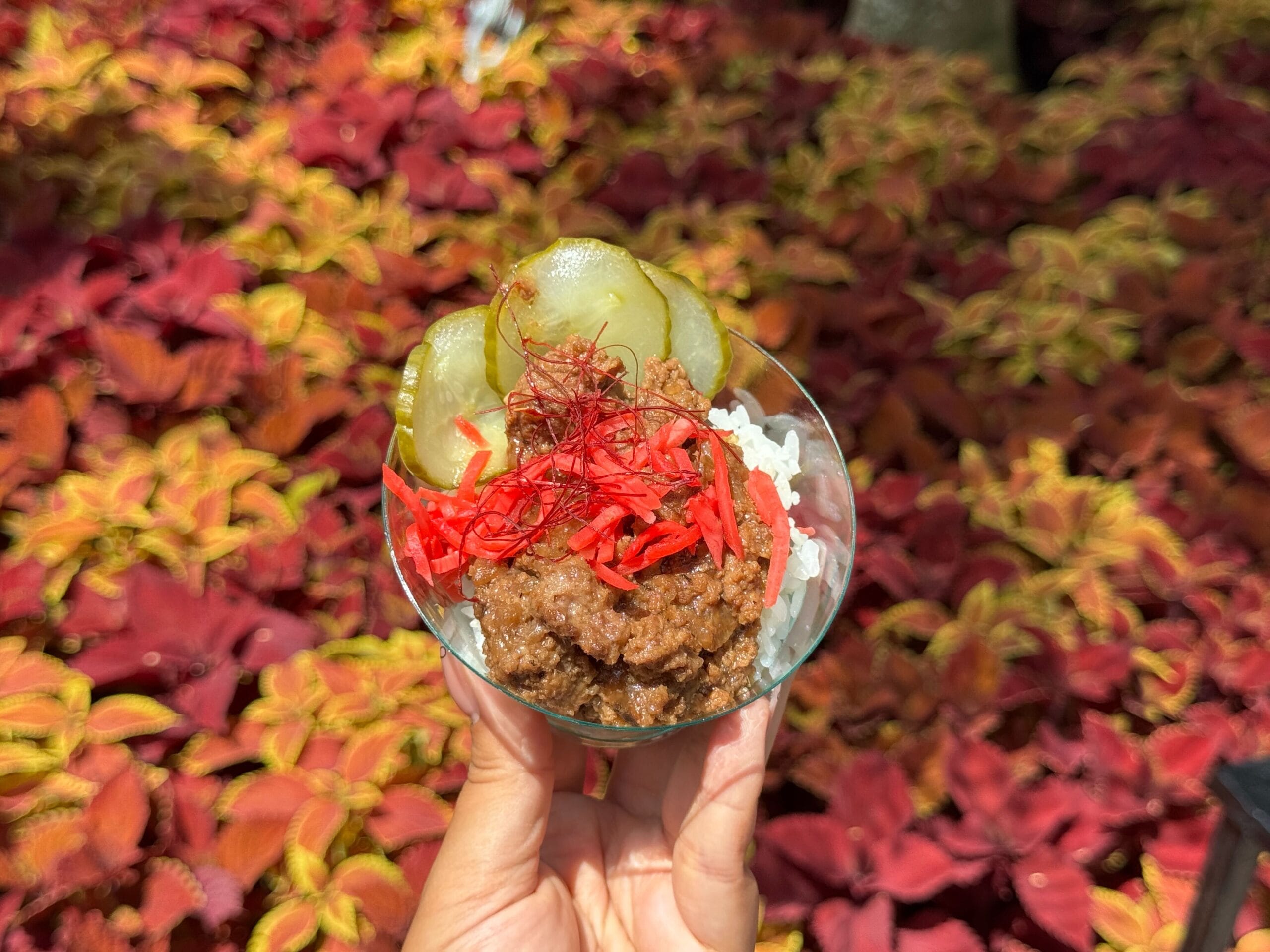 A hand holds a small bowl of rice with beef, pickles, red ginger, and chili threads—perfect for any Food & Wine lover.
