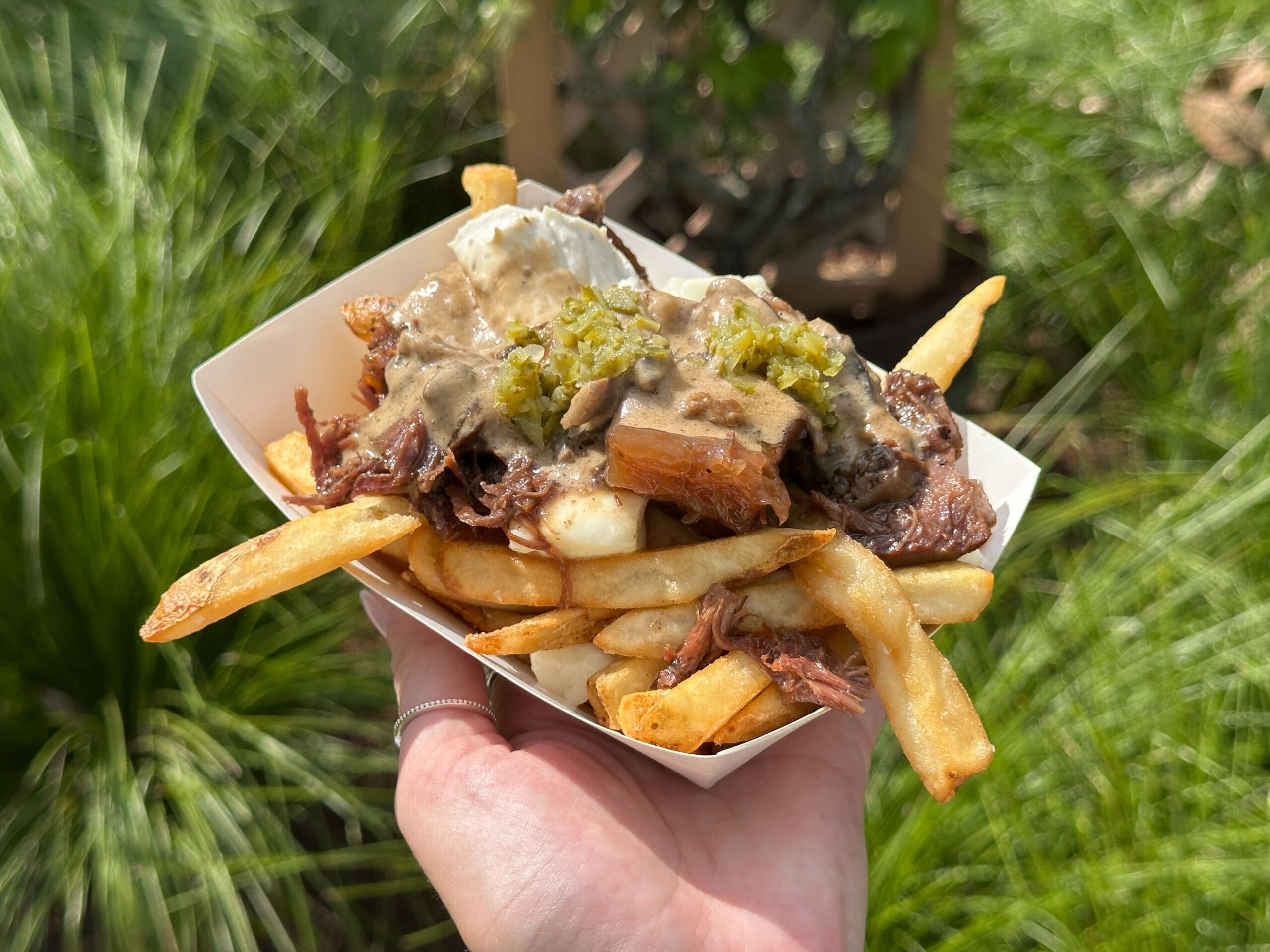 A hand holds a tray of fries with shredded meat, gravy, cheese curds, and relish—perfect for any Food & Wine lover outdoors.