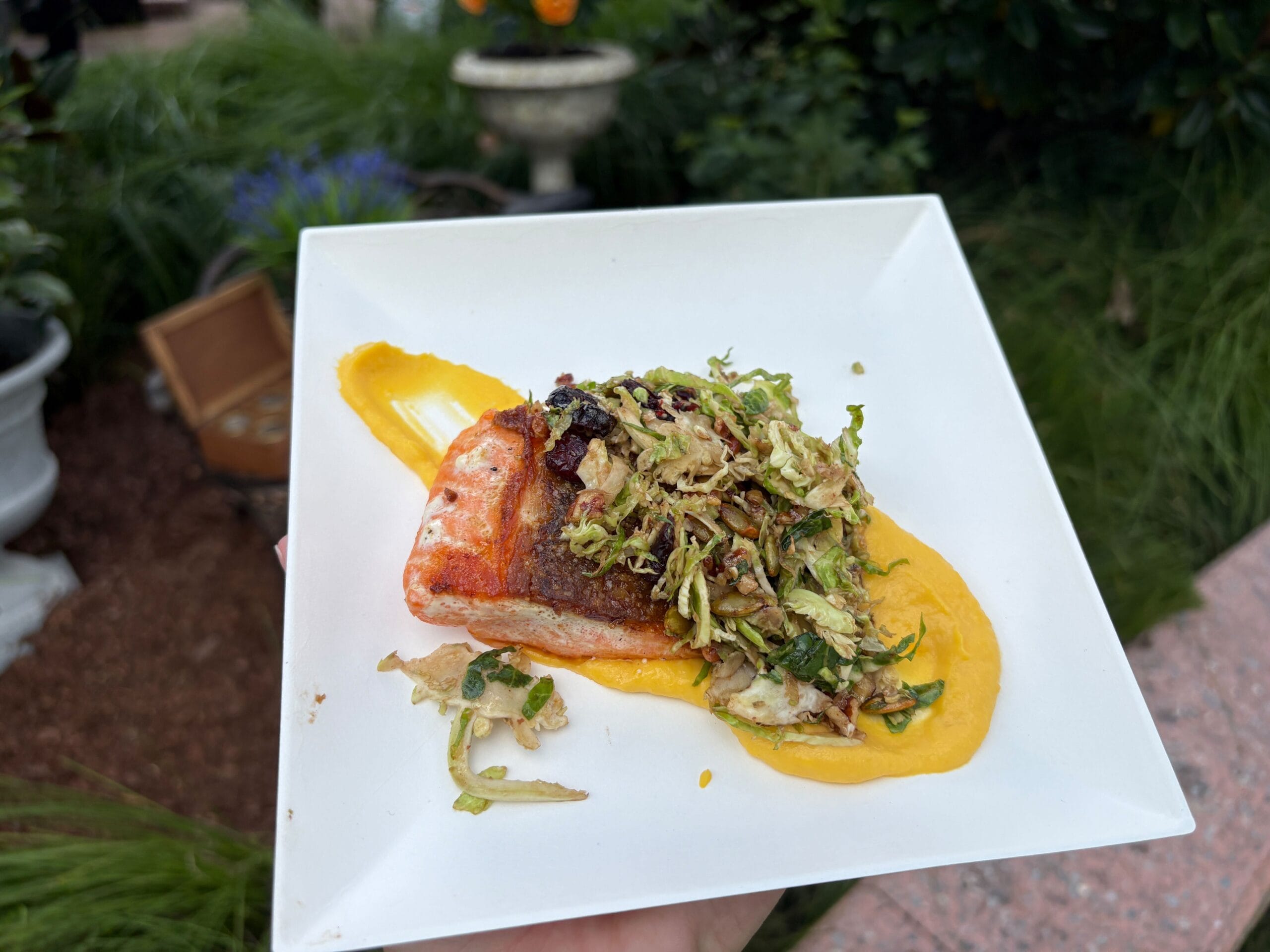 A piece of seared salmon on a white plate with yellow sauce, featured at New Food & Wine, held outdoors in a garden setting.