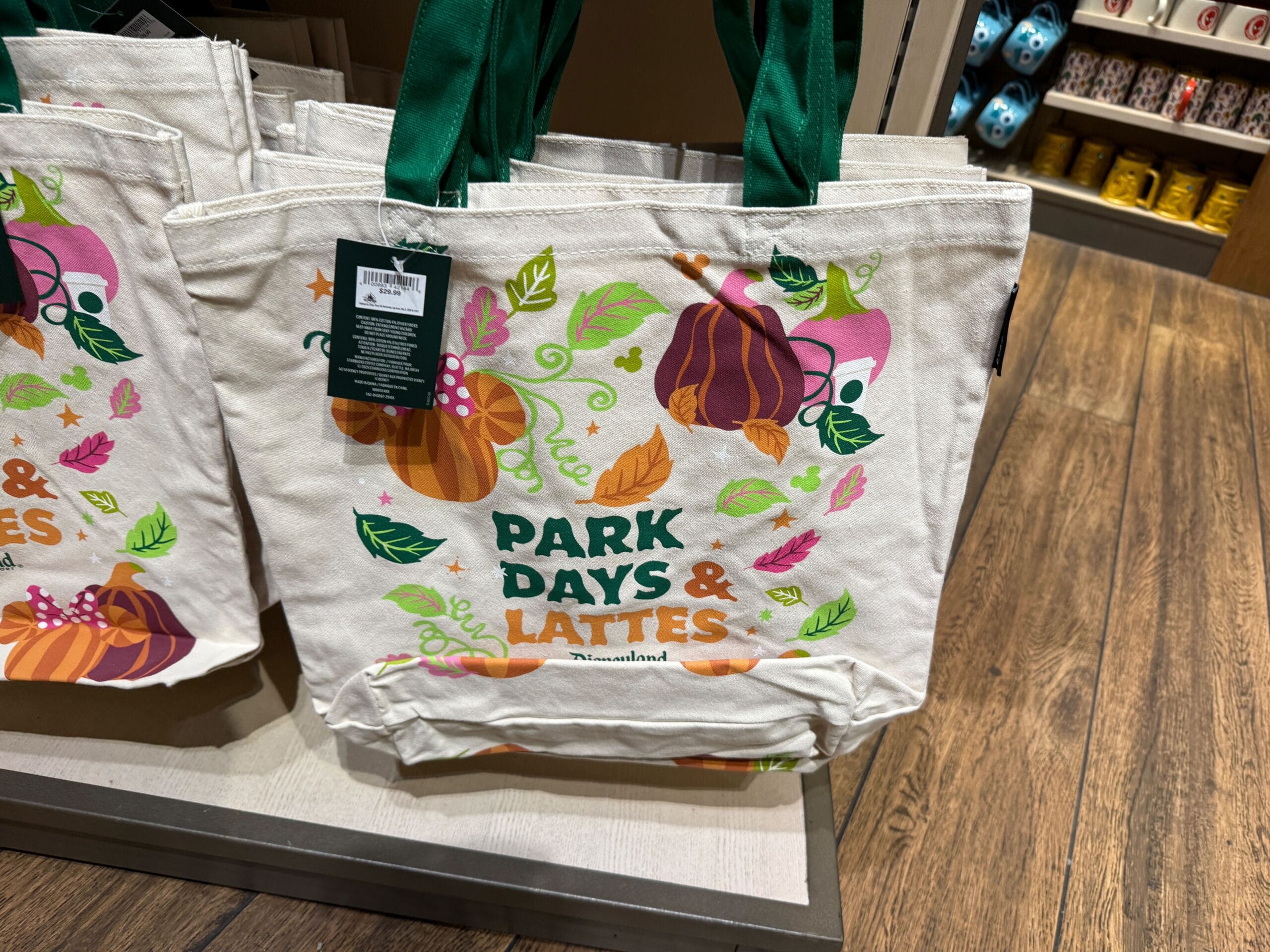 Canvas tote bag with pumpkins, leaves, and "PARK DAYS & LATTES Disneyland"—perfect Pumpkin Spice Merchandise for Disney Parks fans.