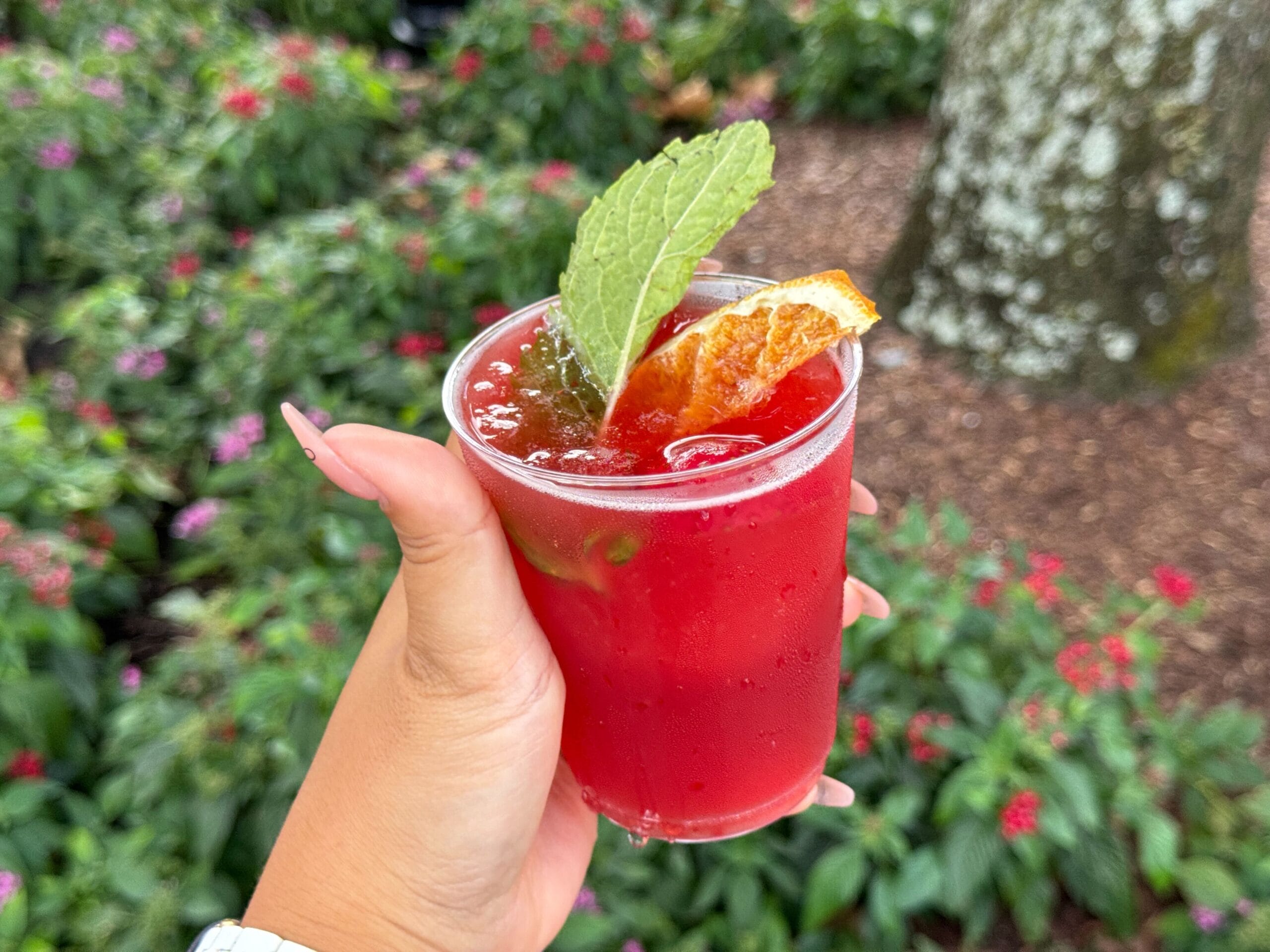 A hand holds a red Food & Wine drink garnished with mint and orange, set against lush green plants.