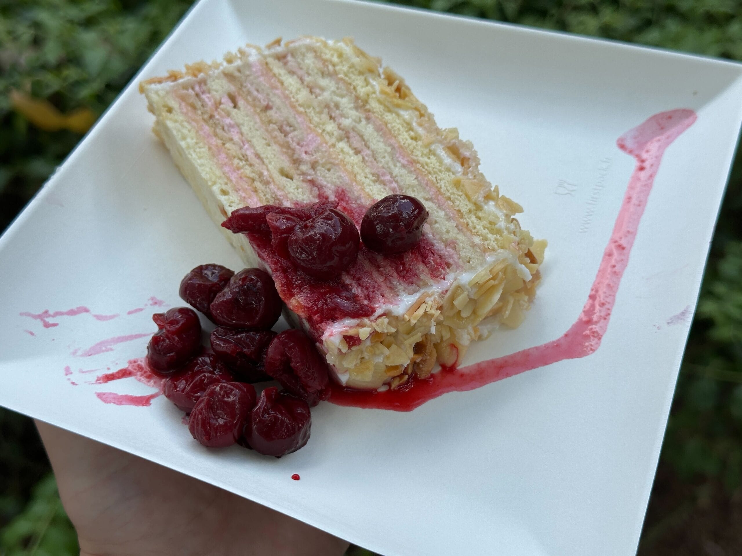 A slice of layered cake with cream and berries, topped with cherry sauce, enjoyed outdoors—perfect for Food & Wine lovers.