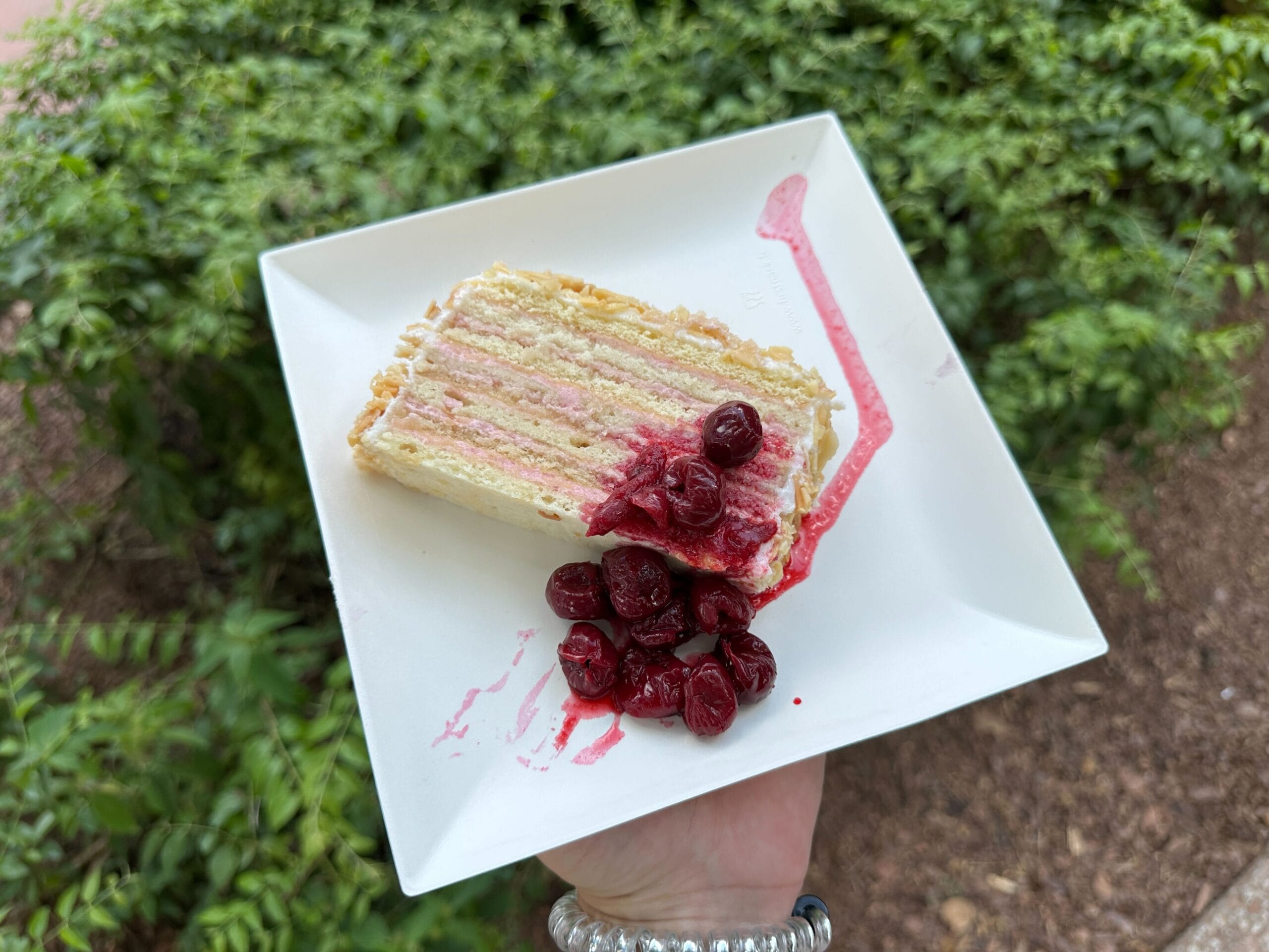 A slice of layered cake with cherries and sauce, held outdoors over green plants—perfect for Food & Wine lovers.