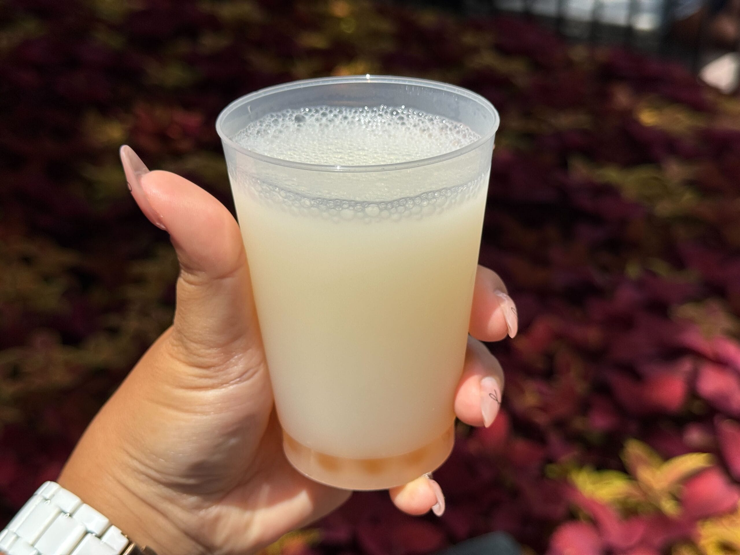 A hand holding a plastic cup filled with a foamy, milky white Food & Wine drink, plants blurred in the background.