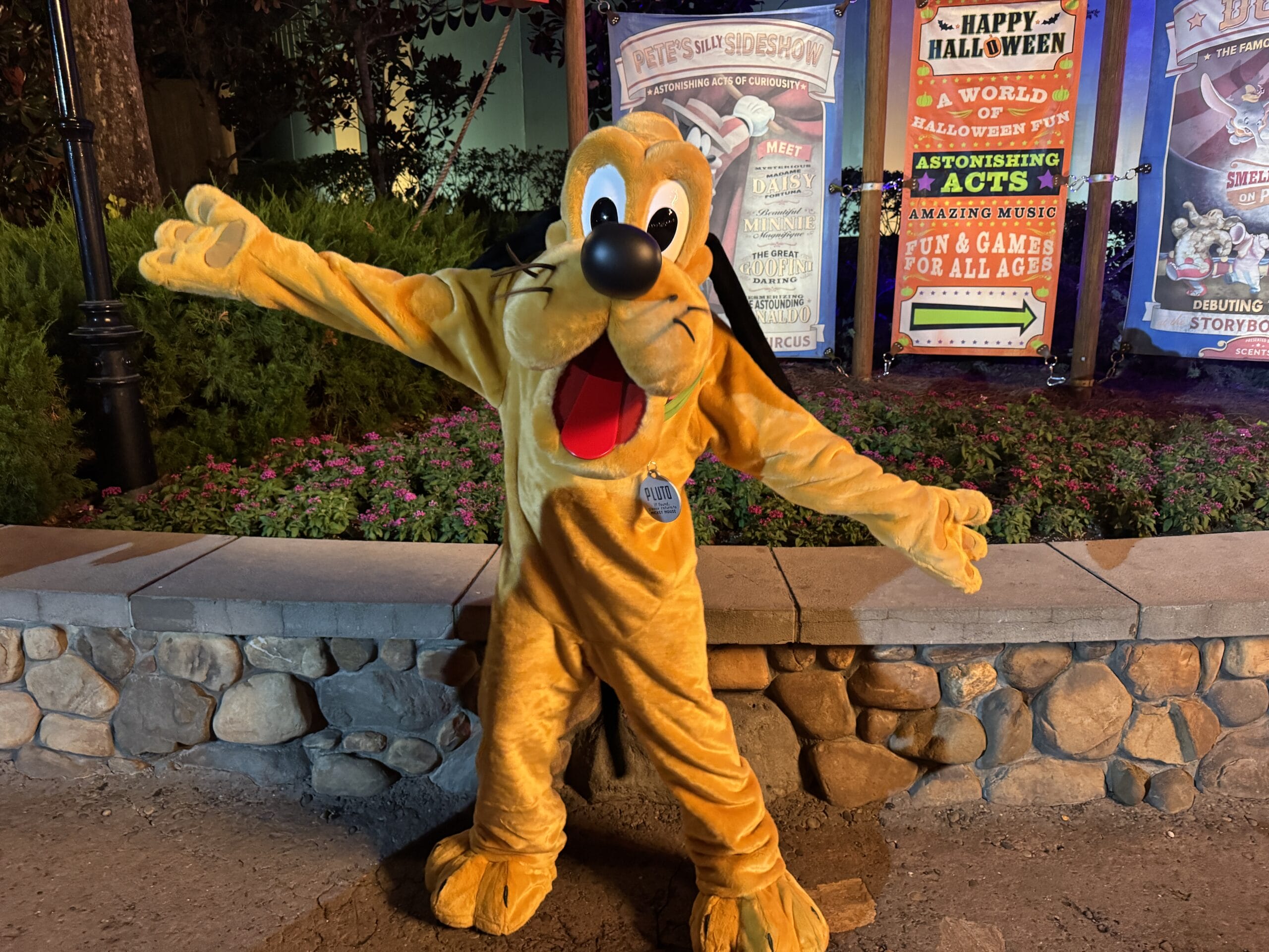 Person in a Pluto costume greets guests at night during Mickey's Not So Scary Party, surrounded by Halloween decorations.