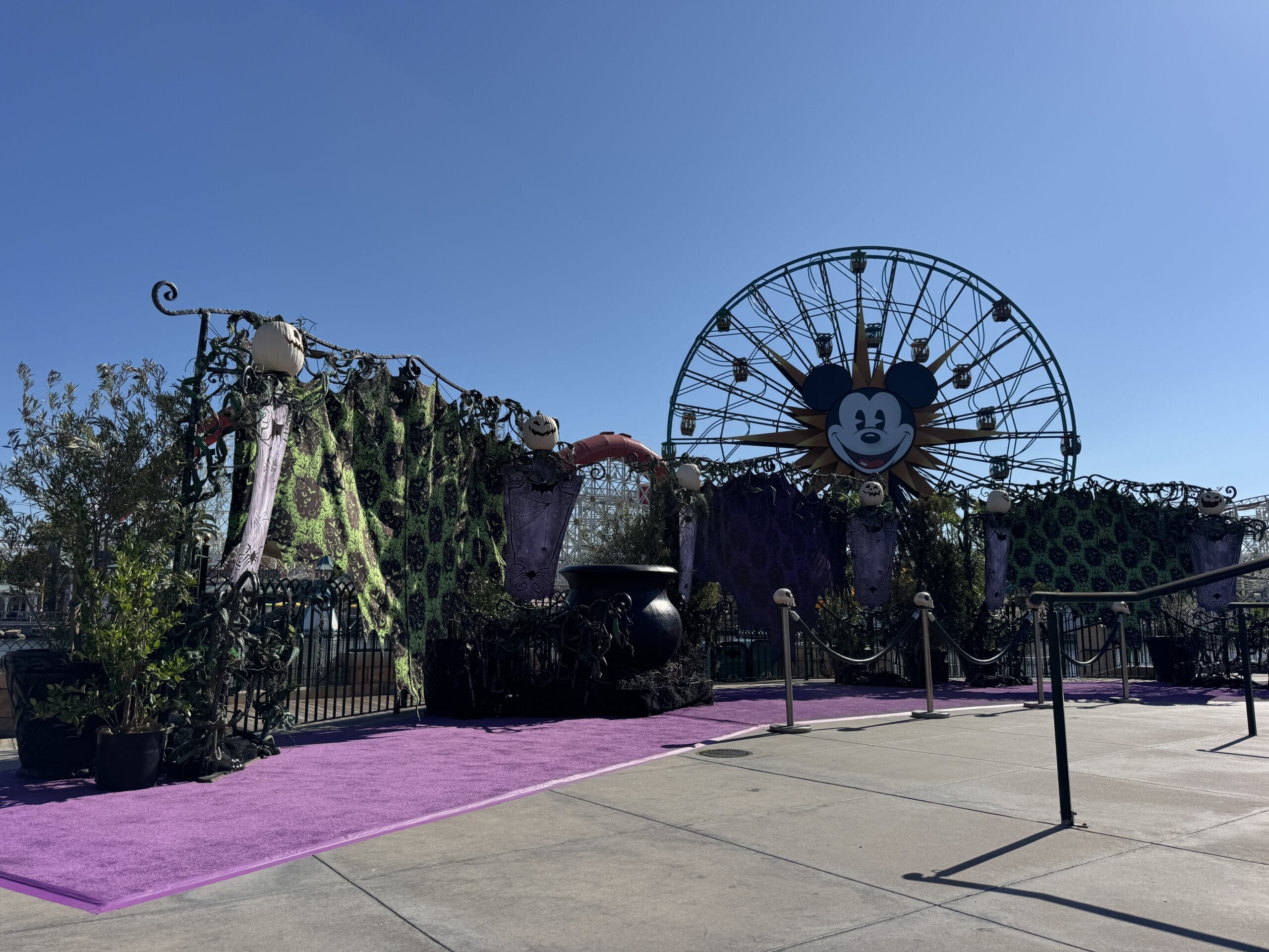 A Halloween display at Oogie Boogie Bash with purple carpet, cauldron, spooky decor, and a Mickey Mouse Ferris wheel.