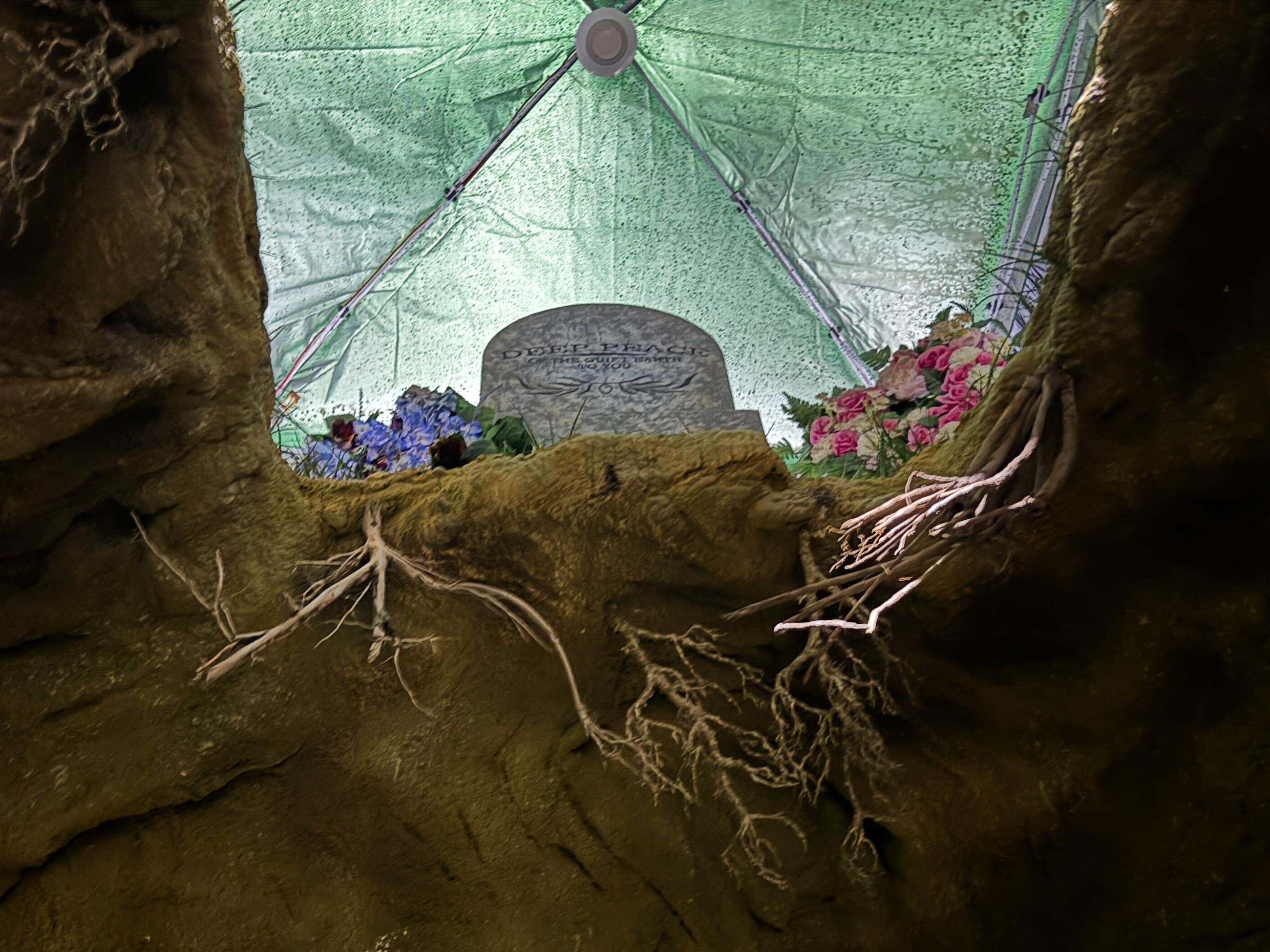 View from below of a gravestone, exposed roots, and flowers bathed in eerie green light—classic HHN Houses vibes.