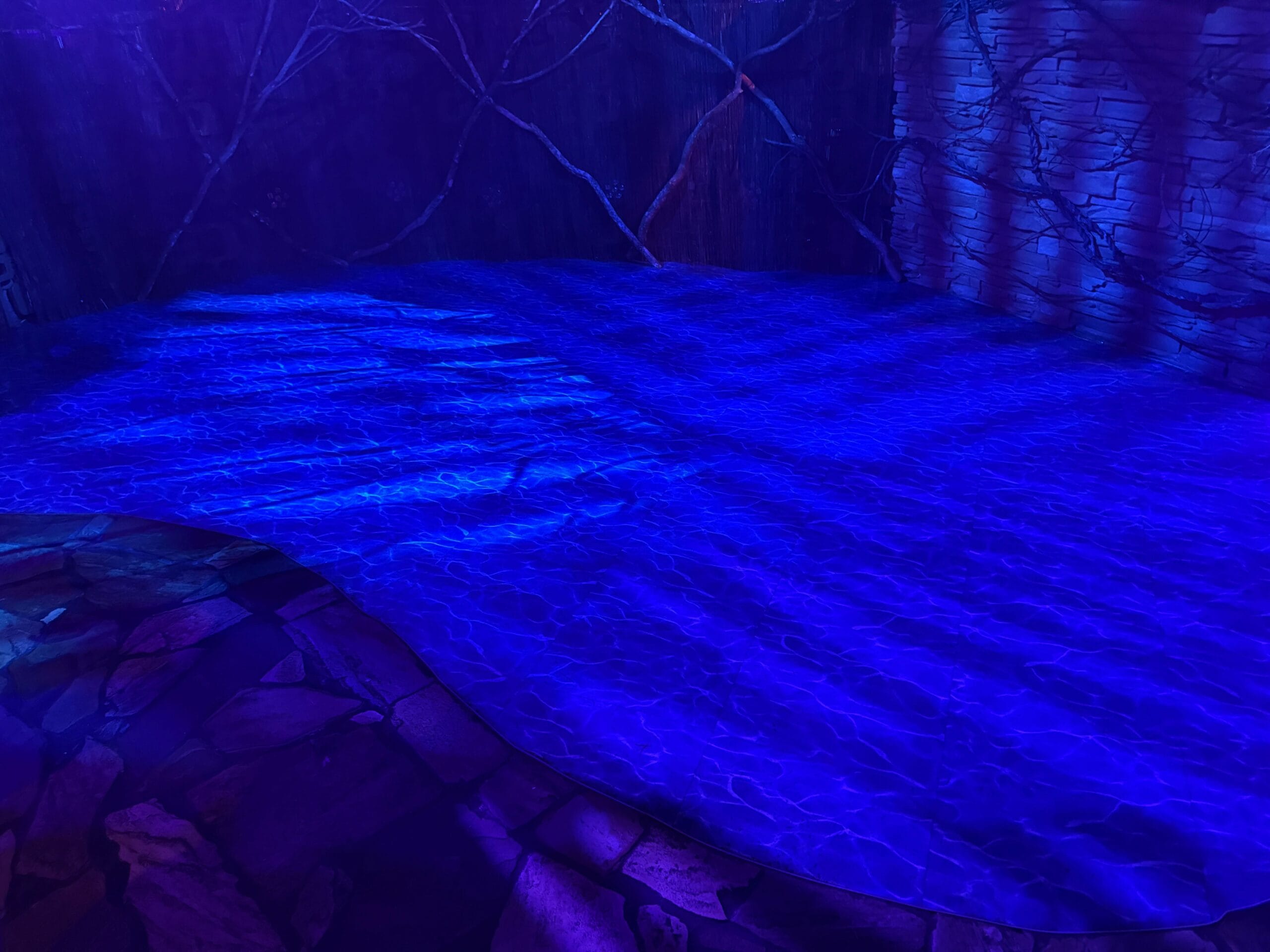 Blue and purple light creates a water-like effect at the Dead Coconut Club with Sorority Witches branches in the background.