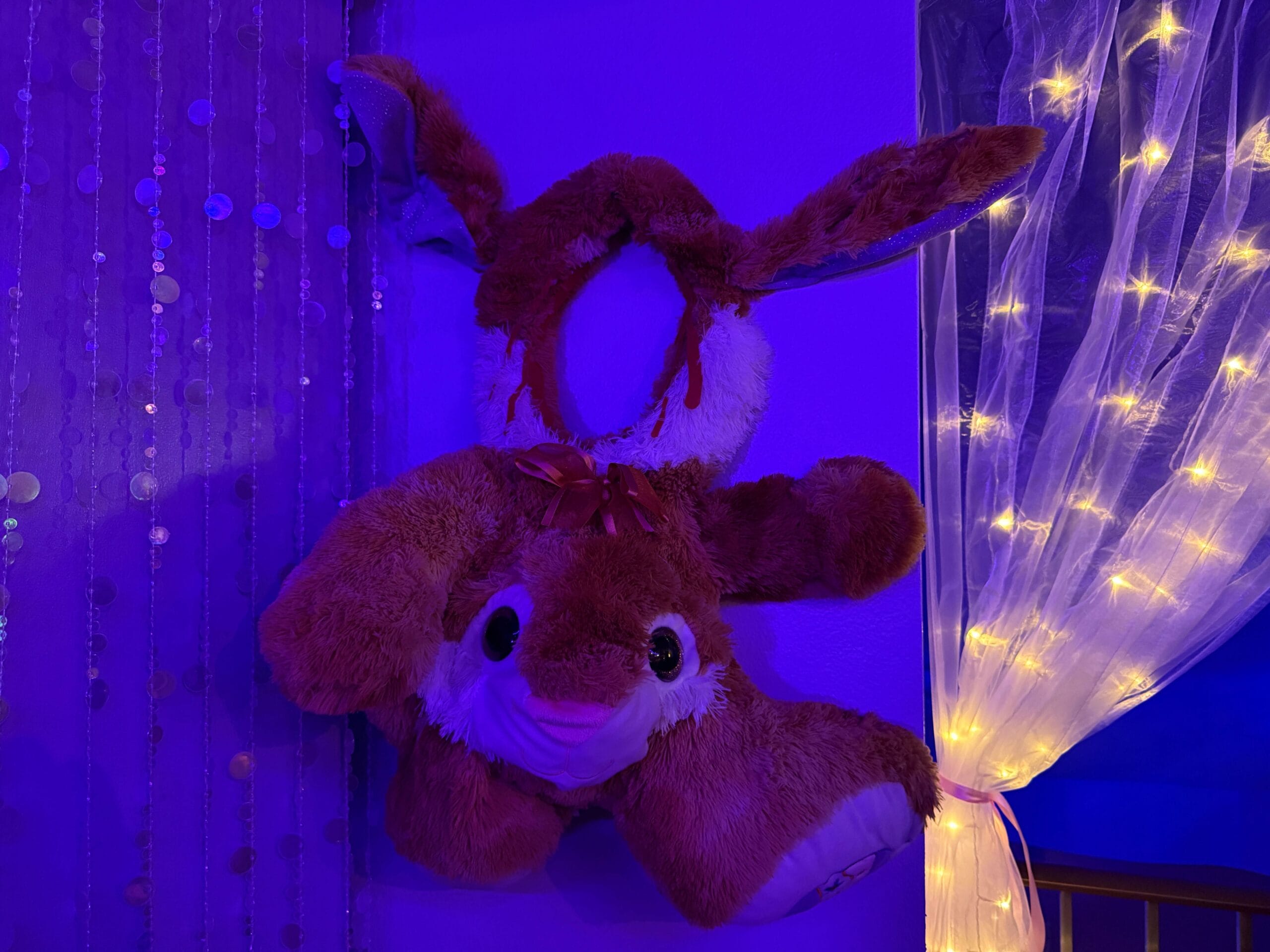 A plush bunny costume and stuffed animal hang on a wall at Dead Coconut Club, lit by purple and yellow lights.
