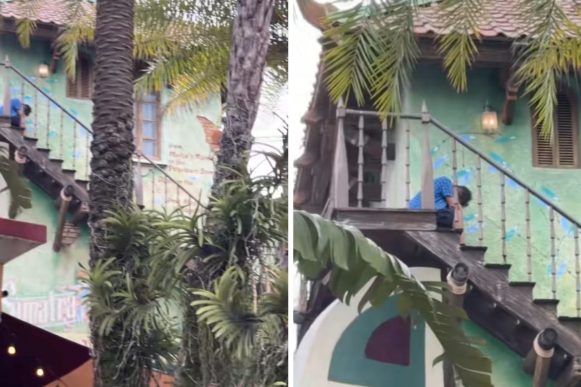 A guest climbs an outdoor staircase near a green building, surrounded by lush plants at Universal Islands of Adventure.