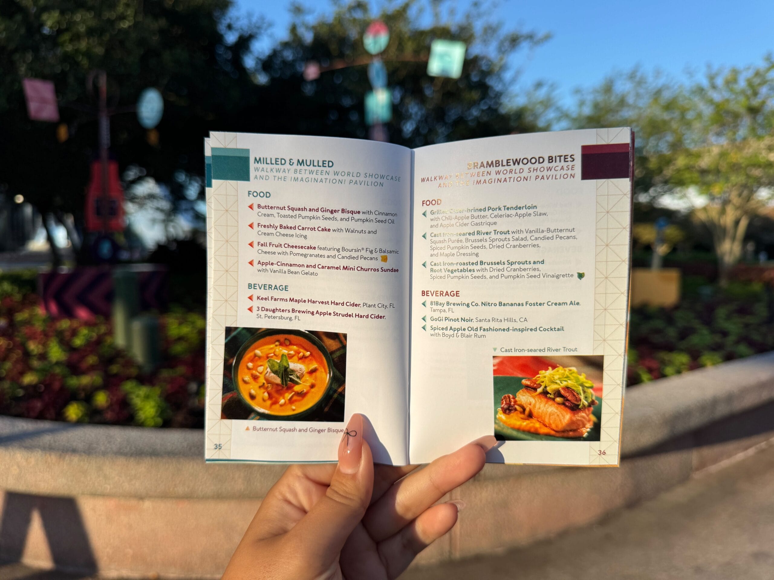 A hand holds an open festival food menu outdoors, with food photos and descriptions visible against a sunny background.
