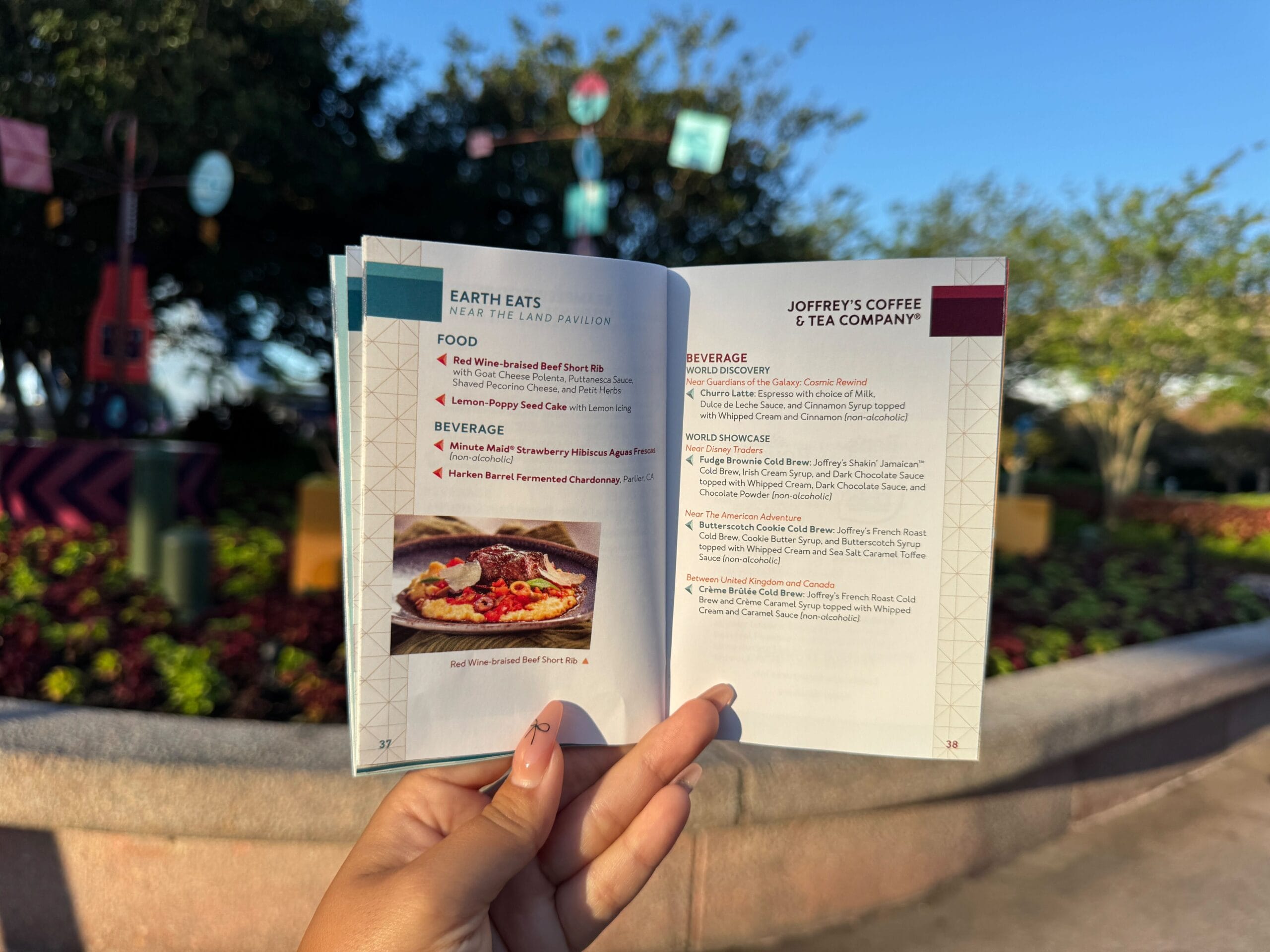 A hand holds an open food festival menu outdoors, with plants and signs blurred in the background.