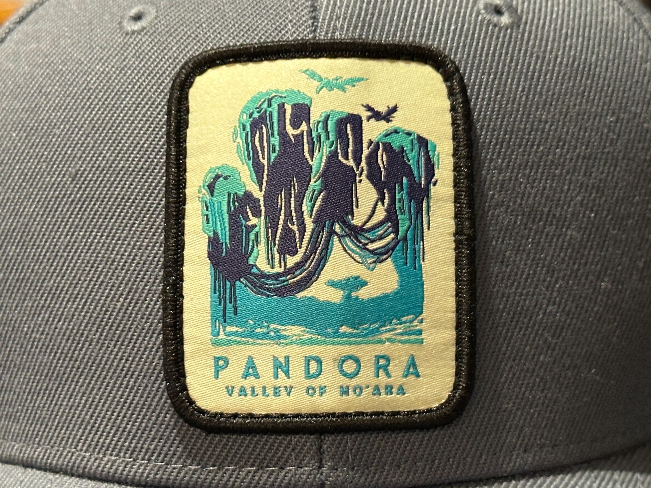 Gray cap Pandora Merch with a patch of floating mountains, birds, and "PANDORA VALLEY OF MO'ARA" in teal and yellow.