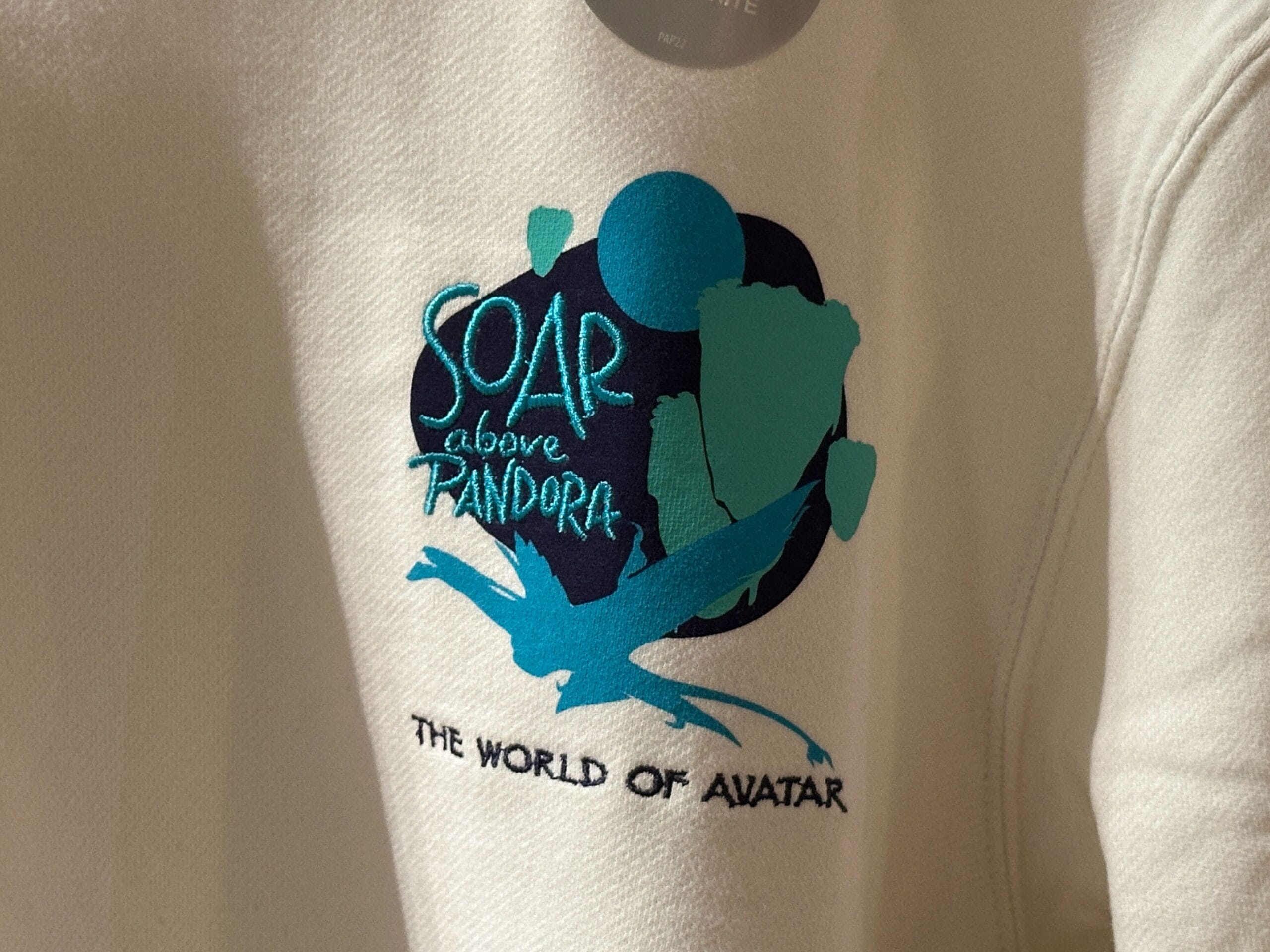 Cream sweatshirt with blue graphic of a flying creature—official Avatar merchandise from Pandora, Disney's Animal Kingdom.