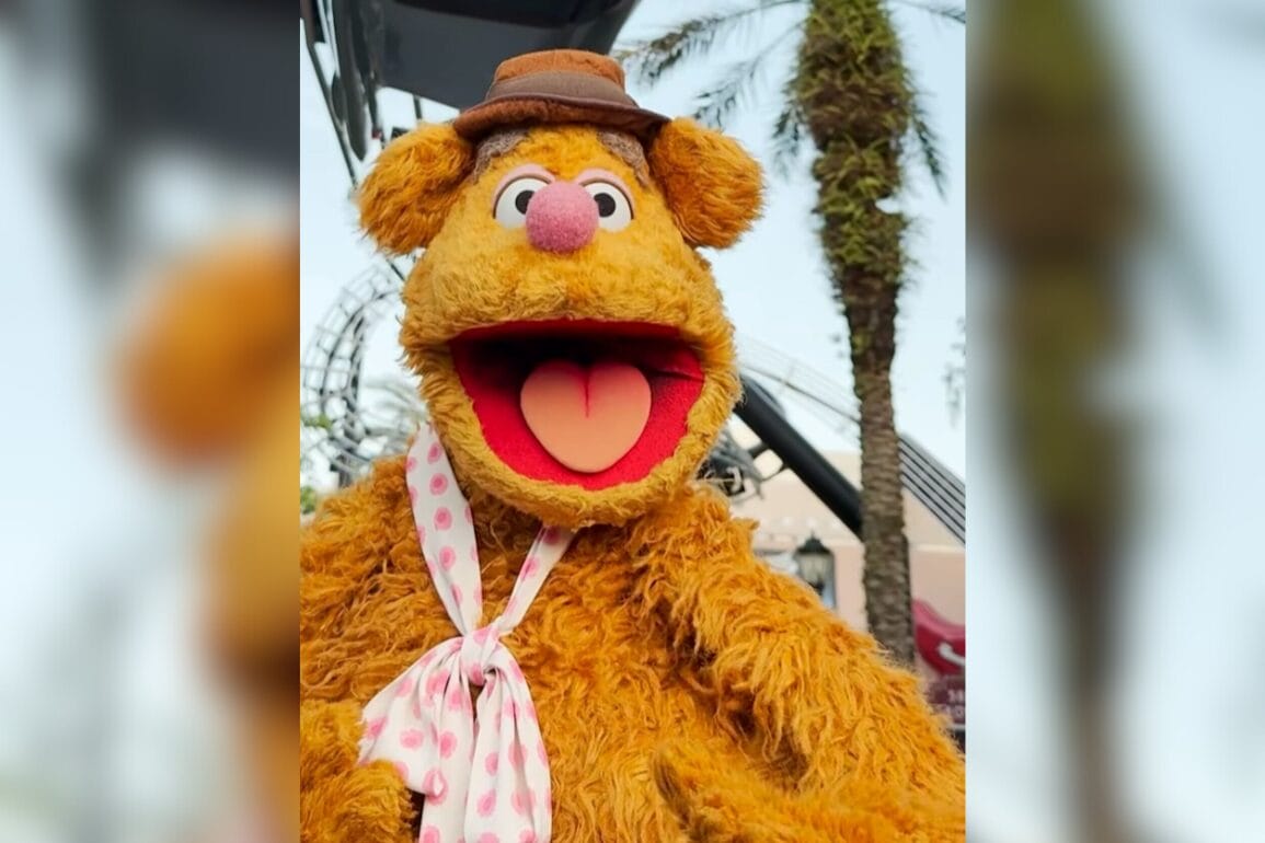 A fuzzy brown Fozzie Bear puppet with a hat and polka-dot scarf smiles with palm trees in the background.