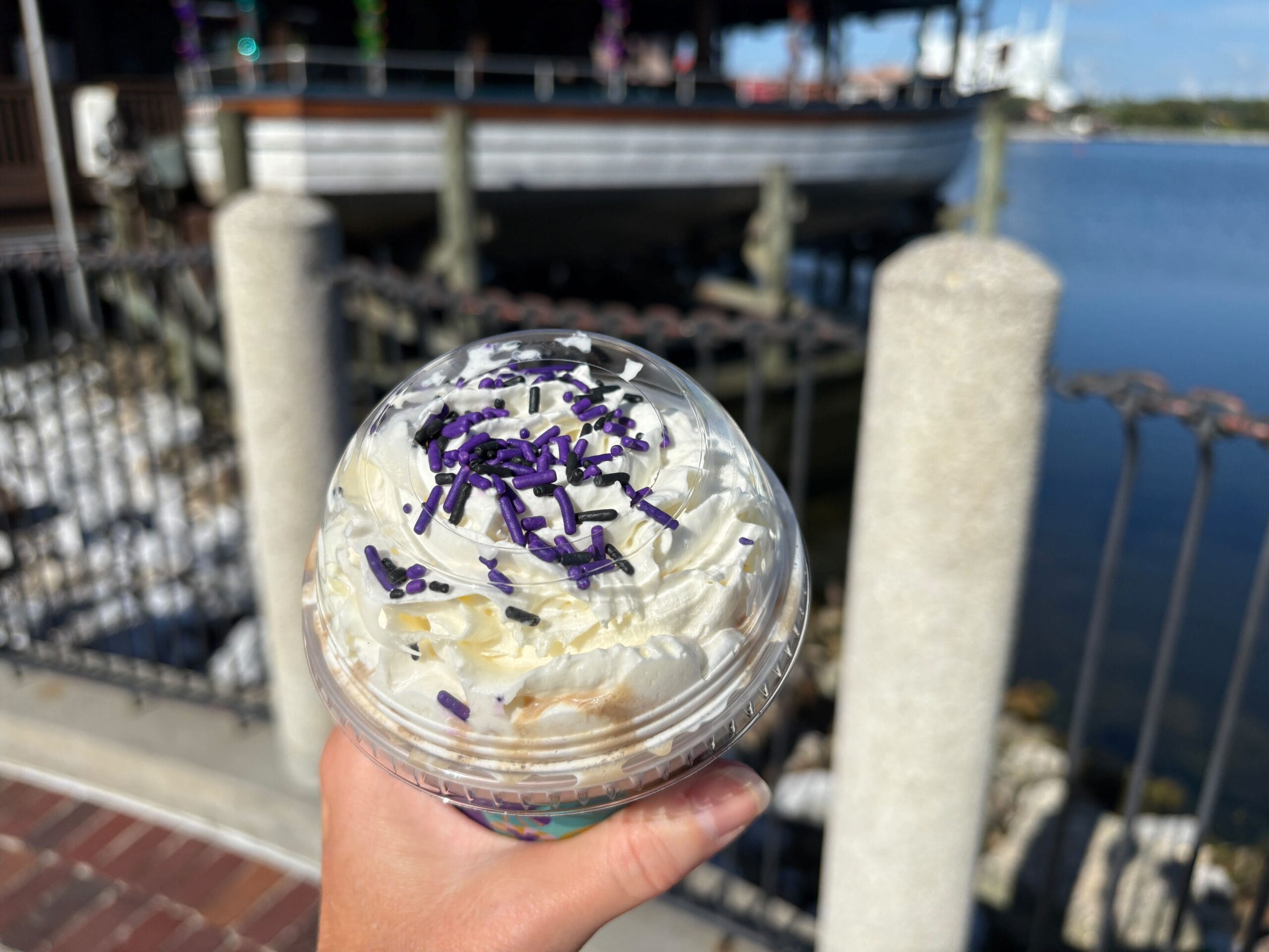 Hand holding a whipped cream-topped drink with purple sprinkles at Disney Springs, docked boat in the background.