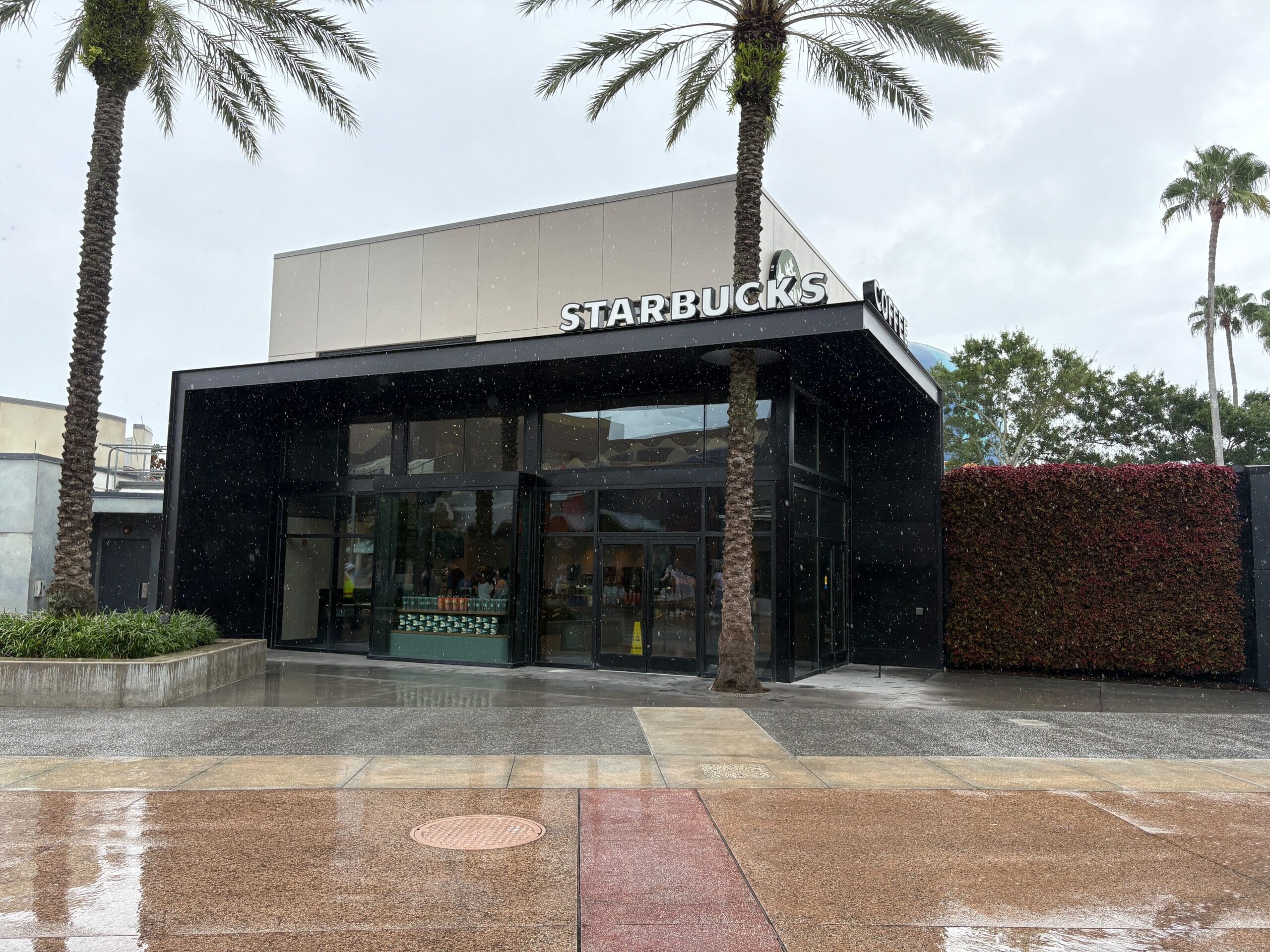 A modern Starbucks at Disney Springs with large windows, palm trees, and wet pavement on a rainy day.