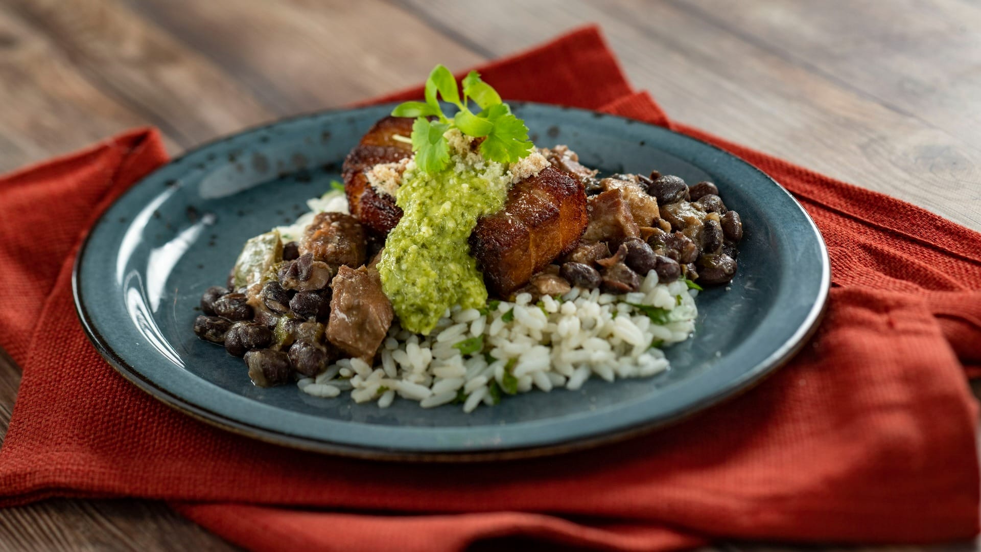 A plate from the 2025 menus features rice, black beans, and roasted meat topped with green sauce at EPCOT Food & Wine Festival.