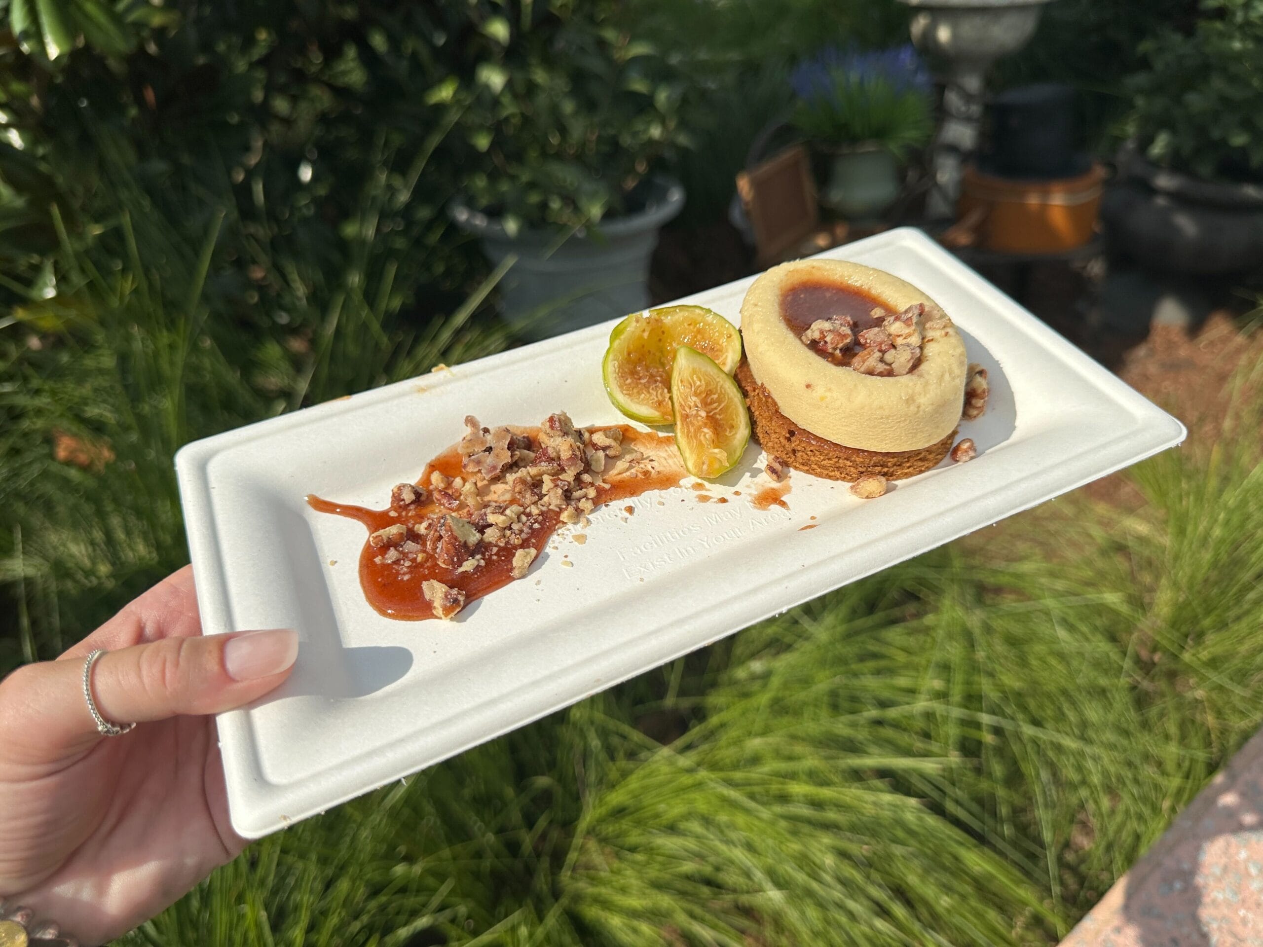 A hand holds a rectangular plate with cake, caramel sauce, nuts, and figs—perfect for a Food & Wine moment outdoors.