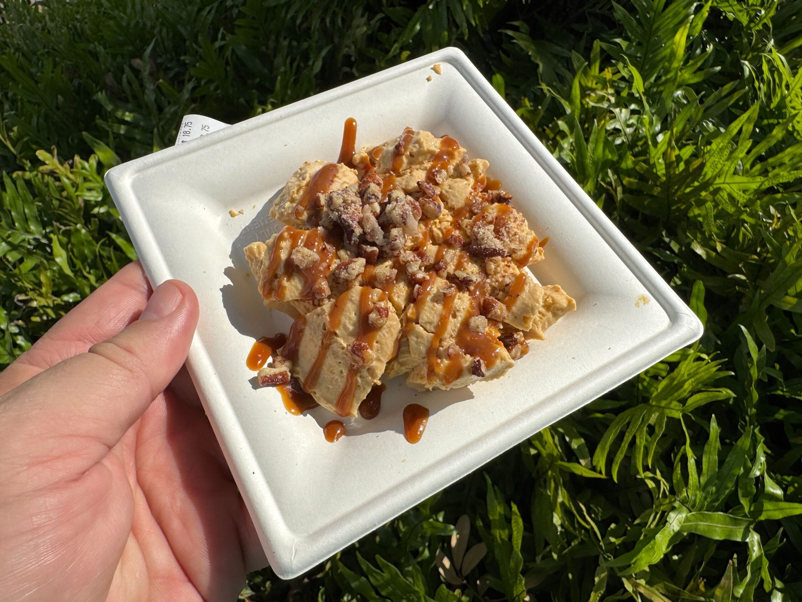 A hand holds a plate with a sliced waffle topped with caramel and nuts—an enticing New Food & Wine outdoor treat.