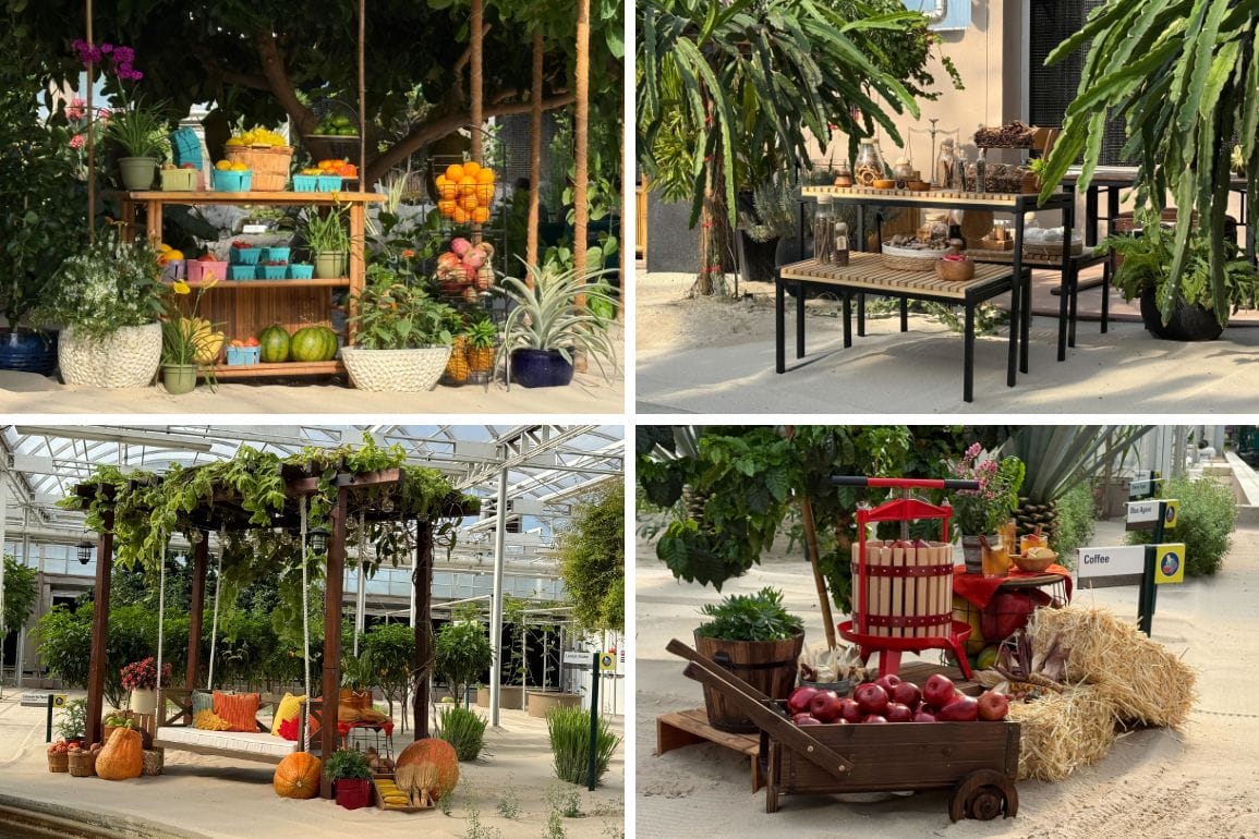 A collage of four displays at Living with the Land featuring fruits, veggies, baked goods, and autumn décor in a greenhouse.