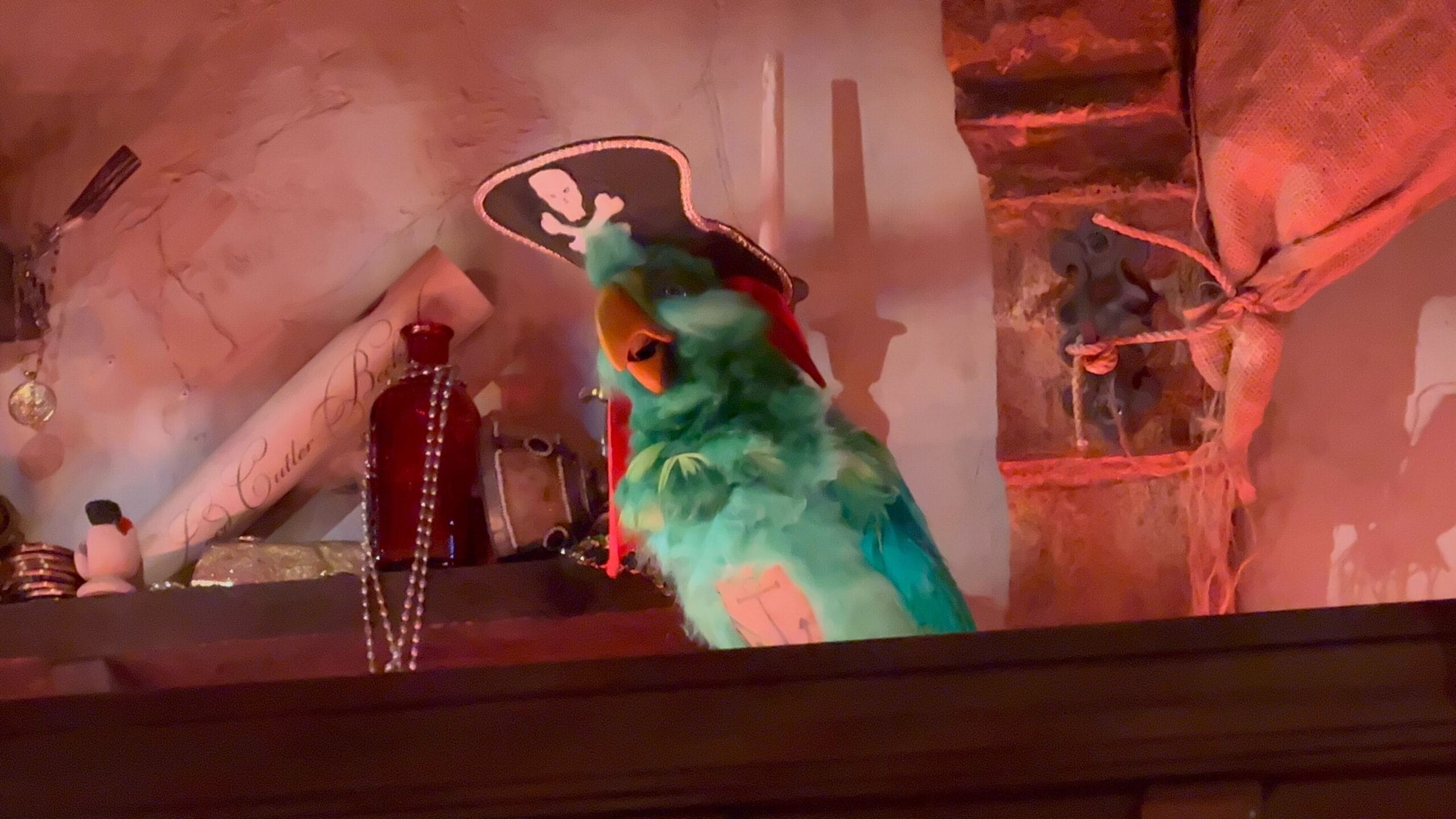 A green animatronic parrot in a pirate hat sits by bottles at the Beak and Barrel in Magic Kingdom.
