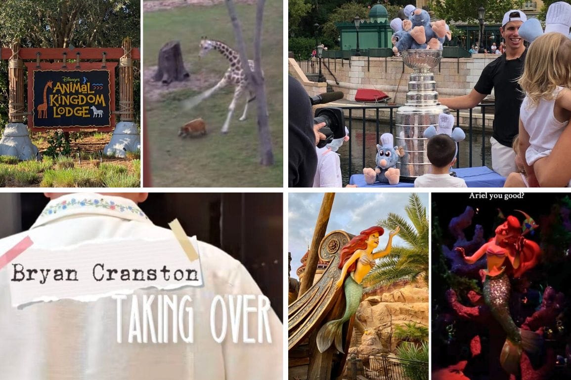A collage with the Animal Kingdom Lodge sign, Disney’s Ariel, a giraffe, kids with a trophy, and Bryan Cranston's name.