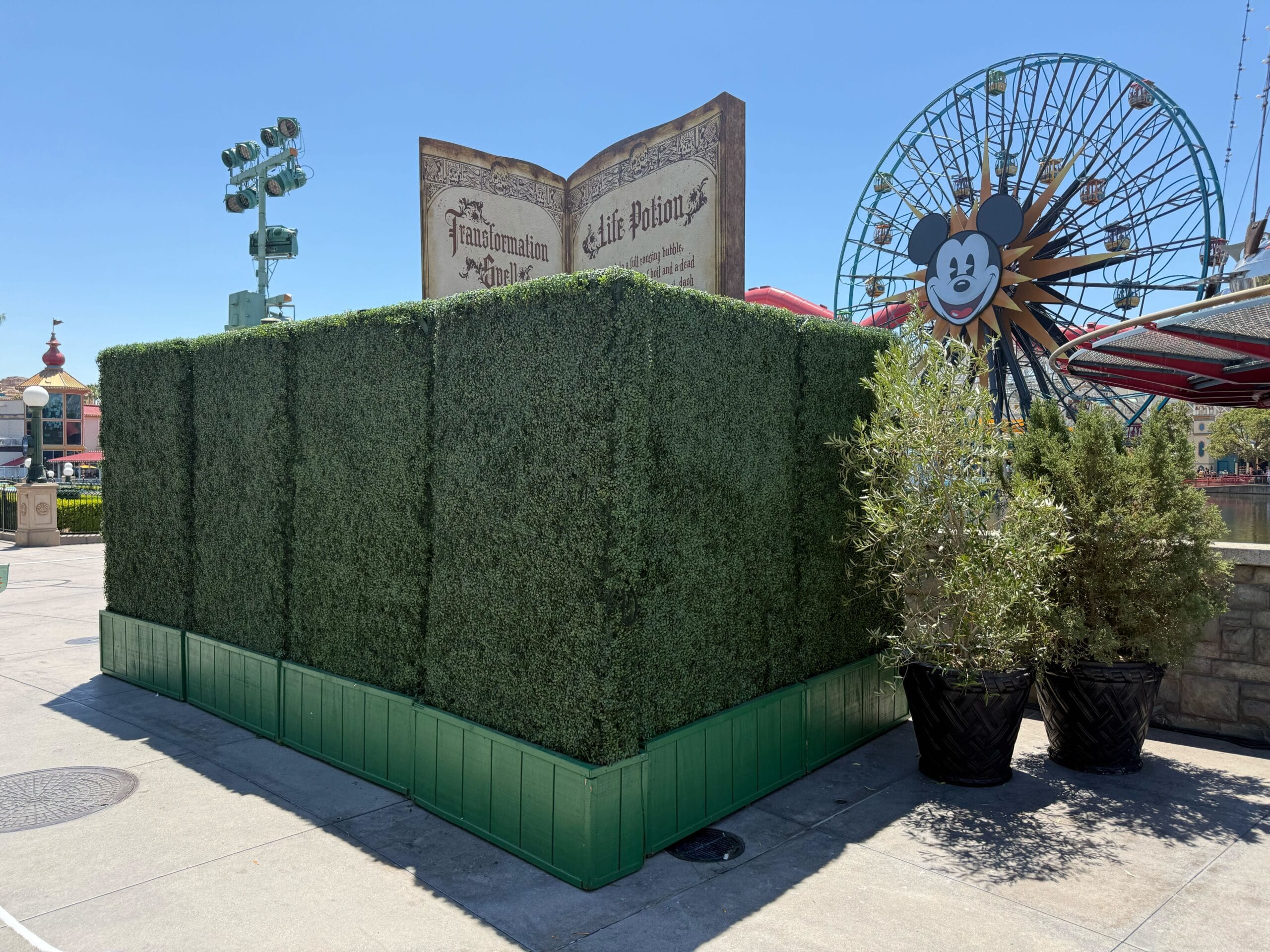 A hedge-covered construction wall with a giant Hocus Pocus spellbook behind it at Disney California Adventure.