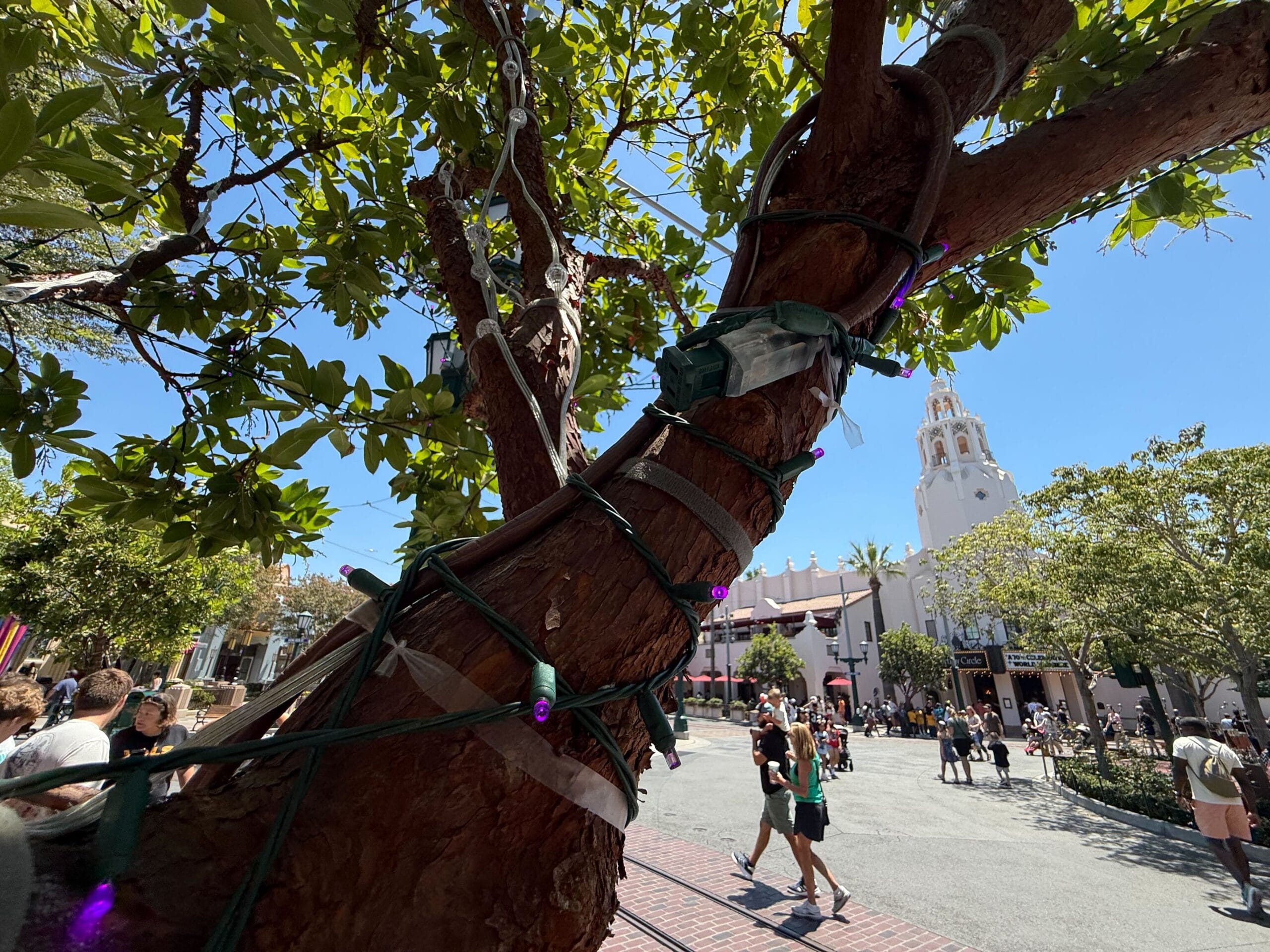 Large tree trunk wrapped in string lights with a street, people, and a white building in the background.