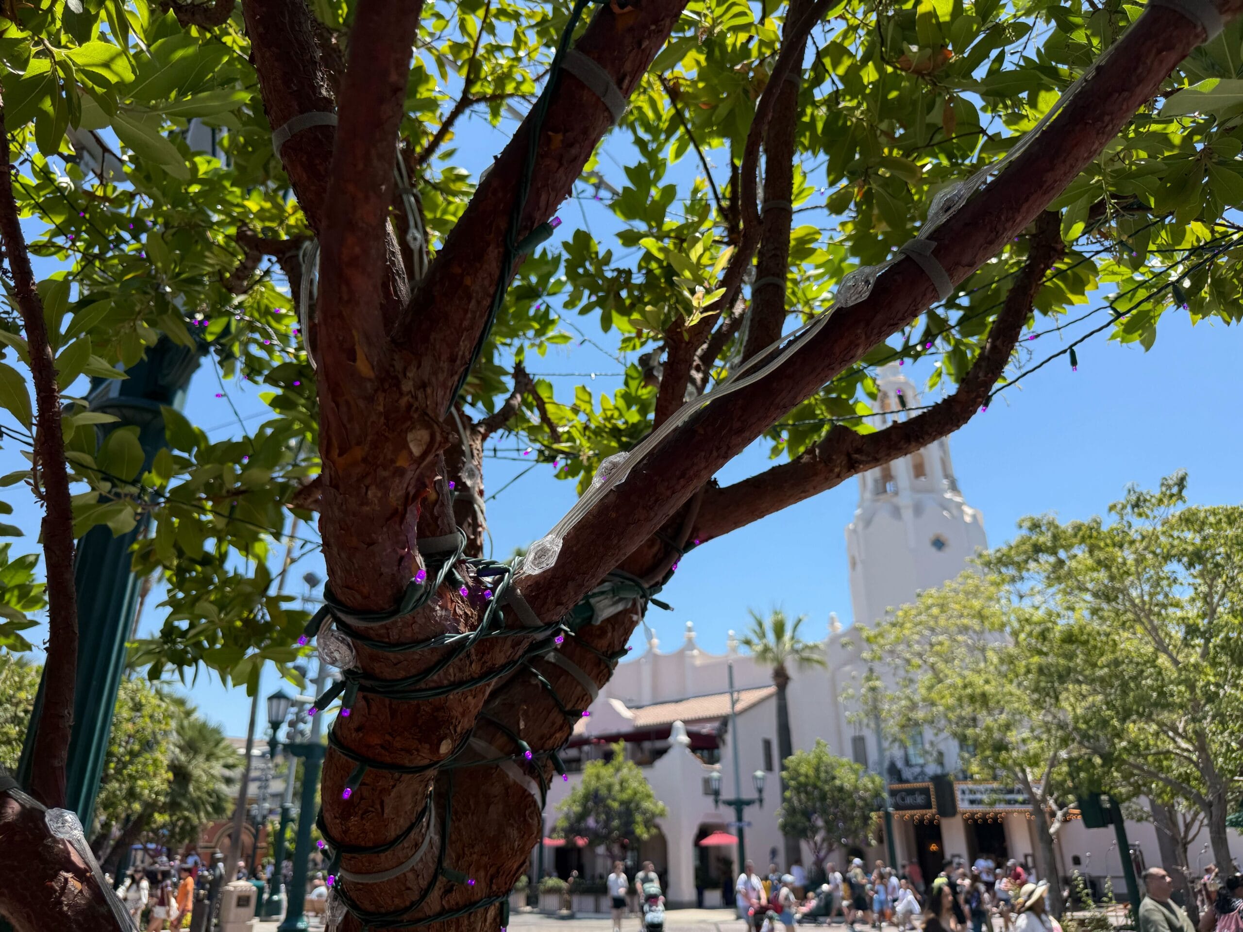 Tree branches with string lights in focus, with people and a white building in the sunny background.