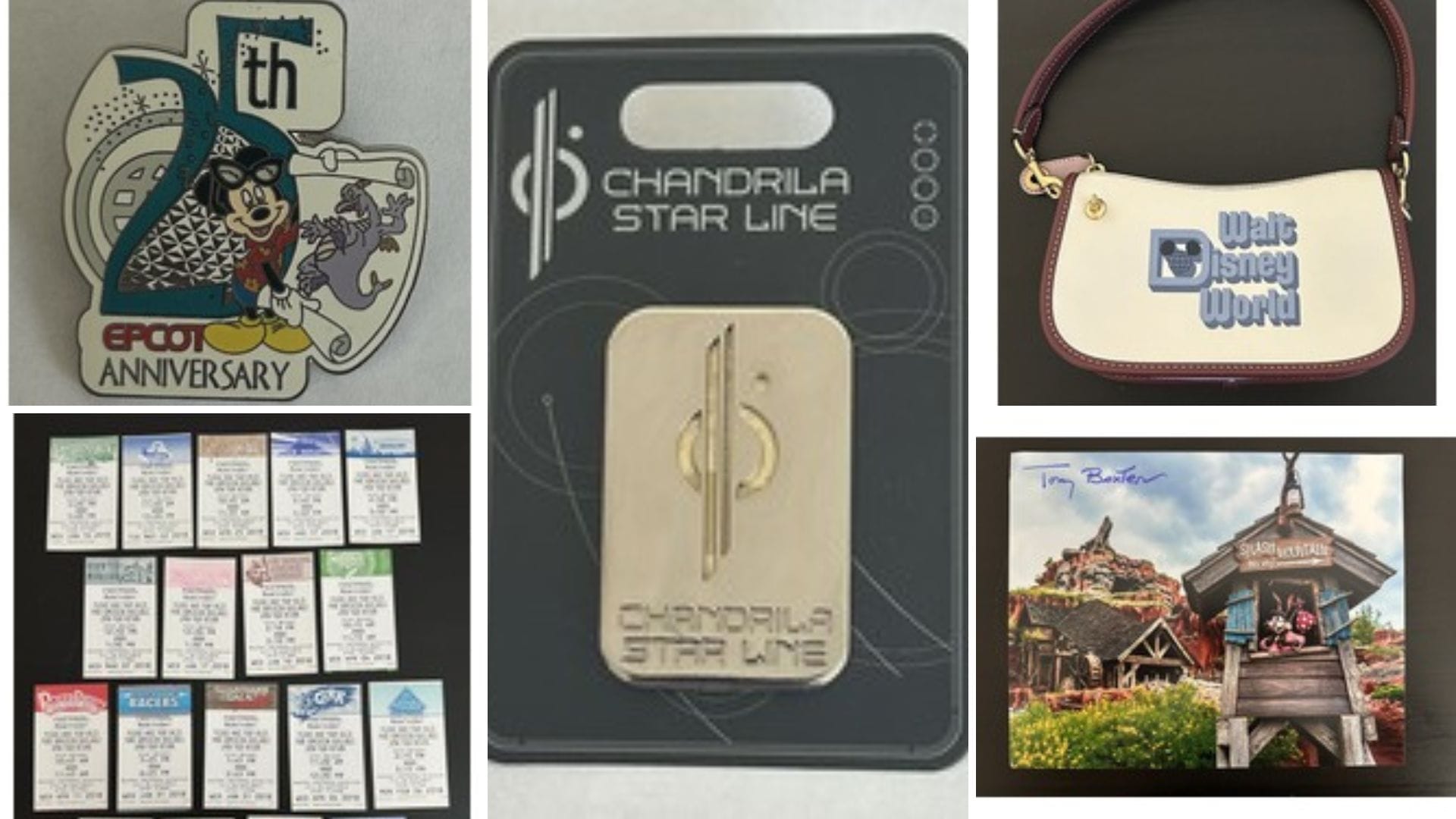 Collage of Disney Parks items, including pins, a purse, FastPass tickets, and a signed Splash Mountain photo.