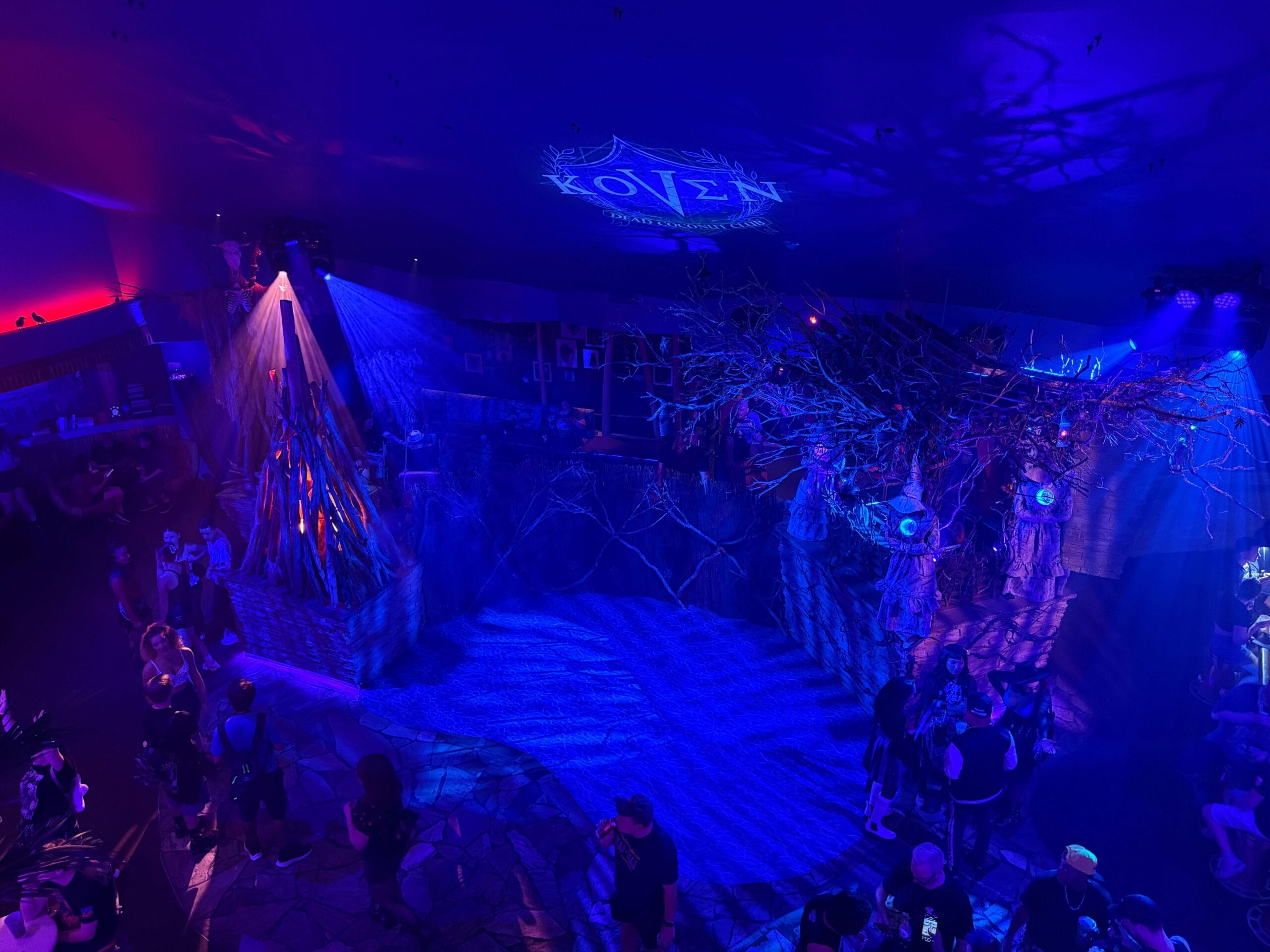A dark, eerie, blue-lit room with tree props and fog sets the scene for Sorority Witches at Dead Coconut Club.