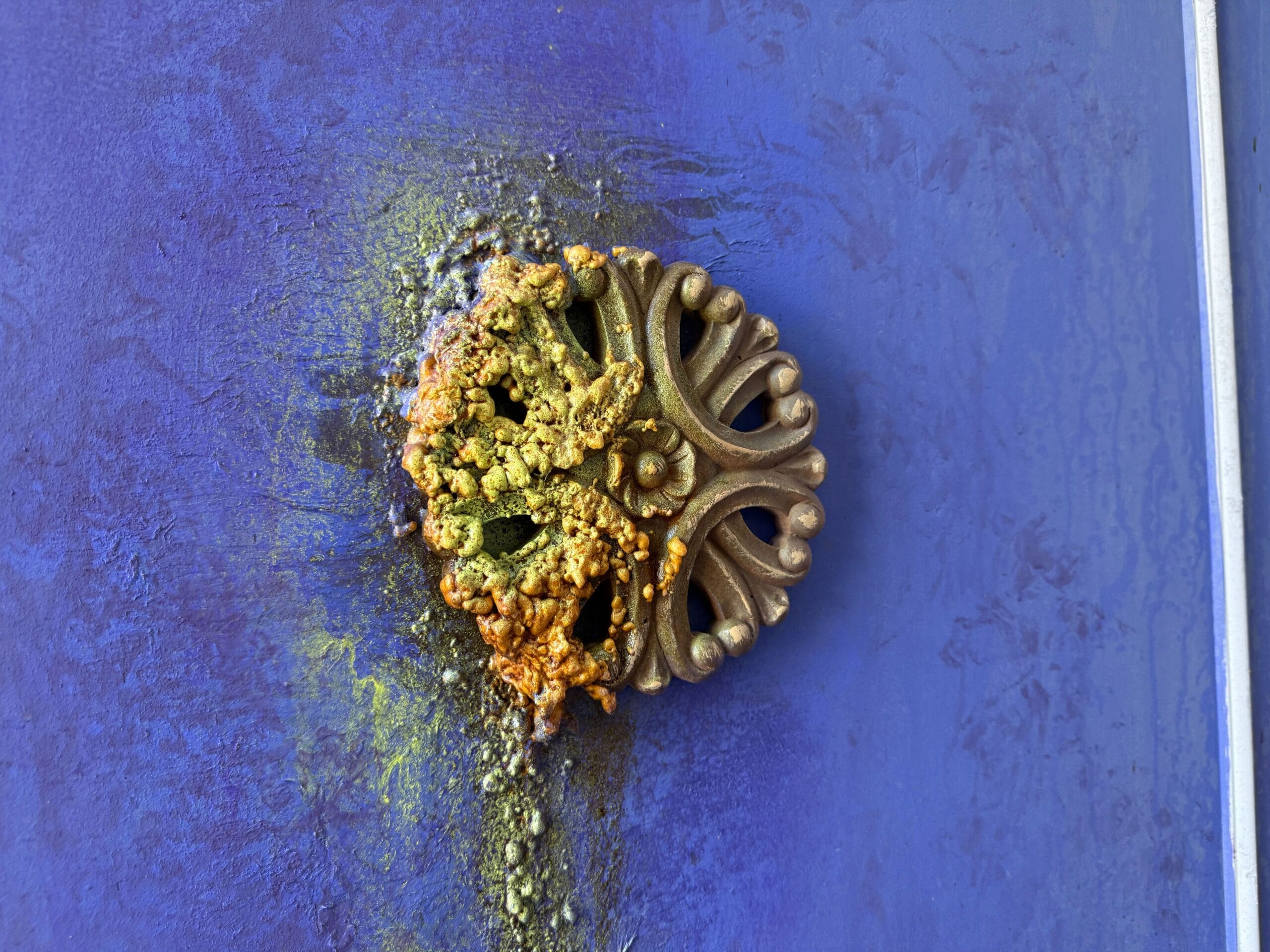 A gold decorative knob on a blue door is partially covered in yellow and green mold or fungus.