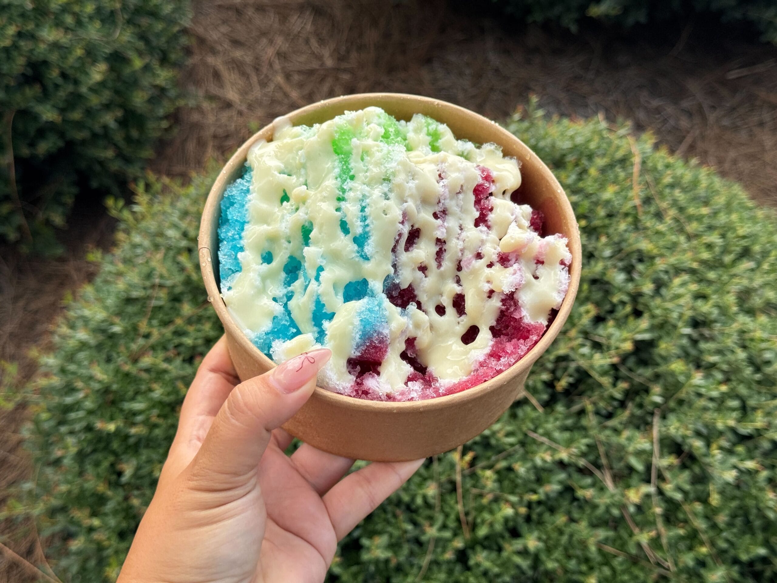 A hand holds a bowl of New Kakigori with white syrup, colorful and bright, in front of green bushes.