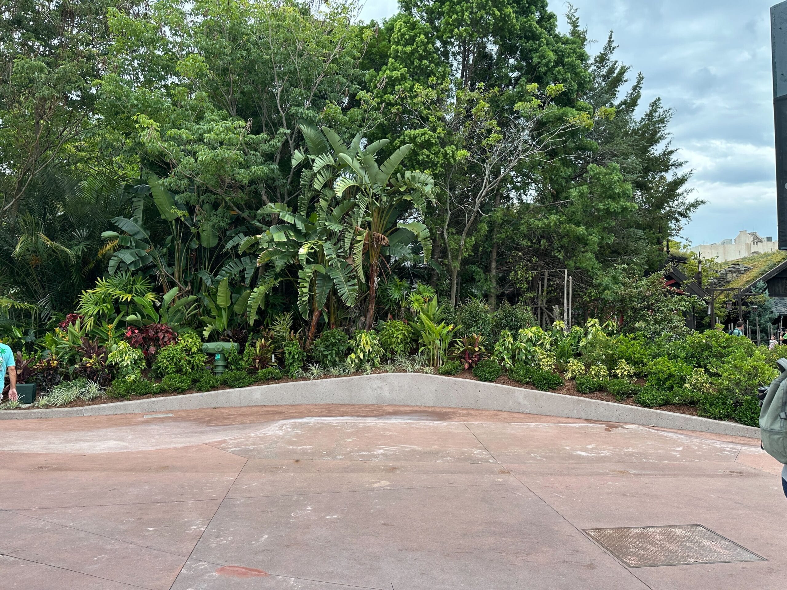 Dense green foliage and tropical plants behind a curved concrete bench in an outdoor park setting.