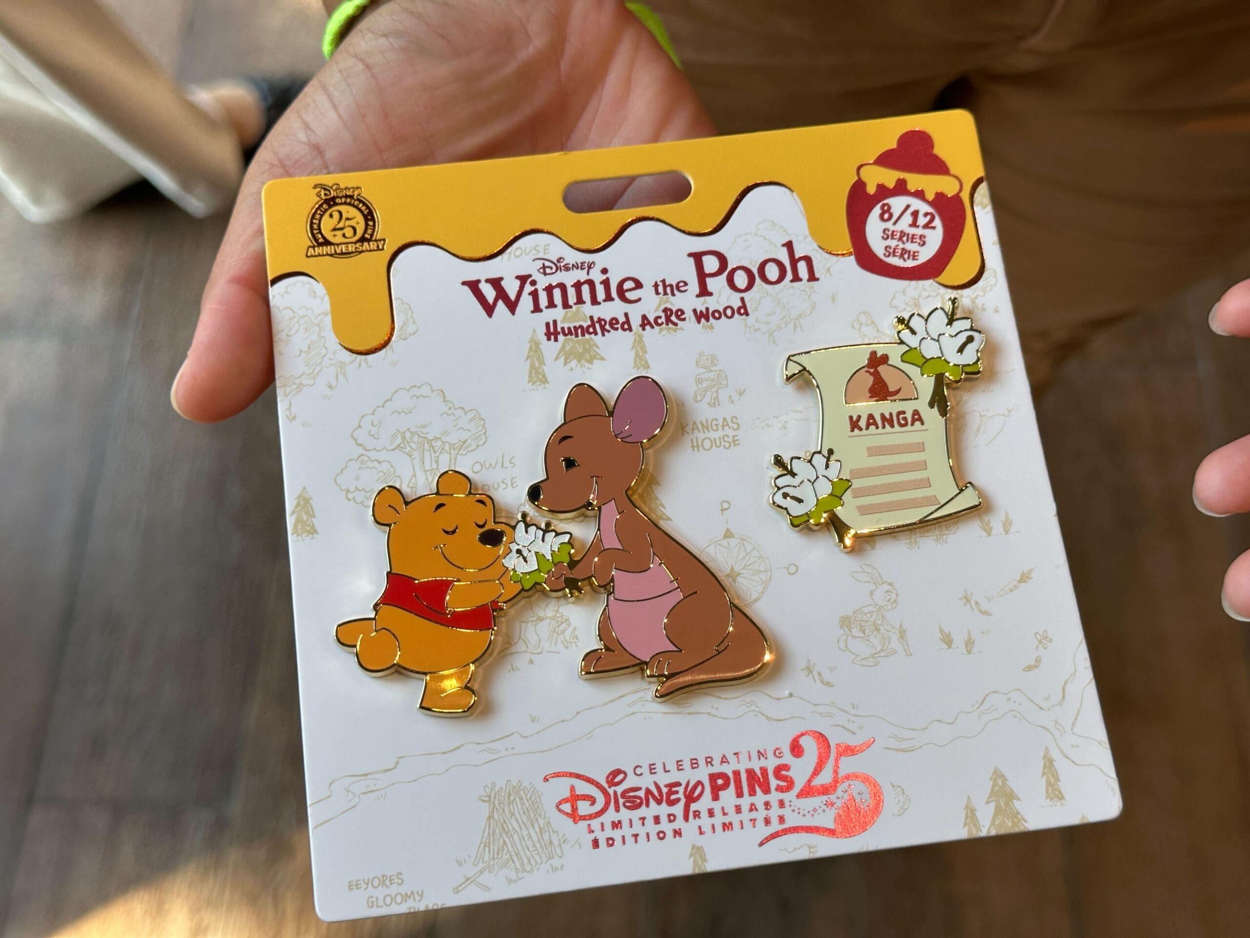 Three Winnie the Pooh pins on a display card—Pooh, Kanga with a flower, and a "Kanga" scroll—Disney collectible set.