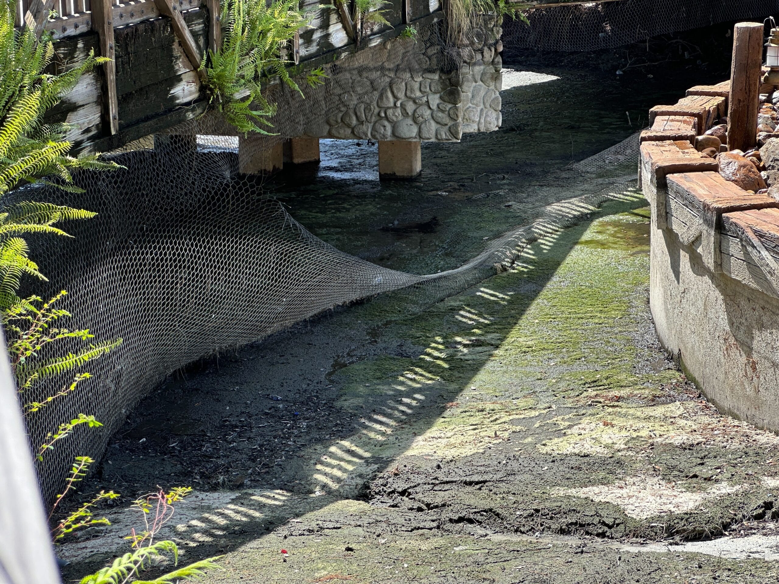 A muddy, shallow canal under a bridge with nets and algae, surrounded by stone and wooden structures.
