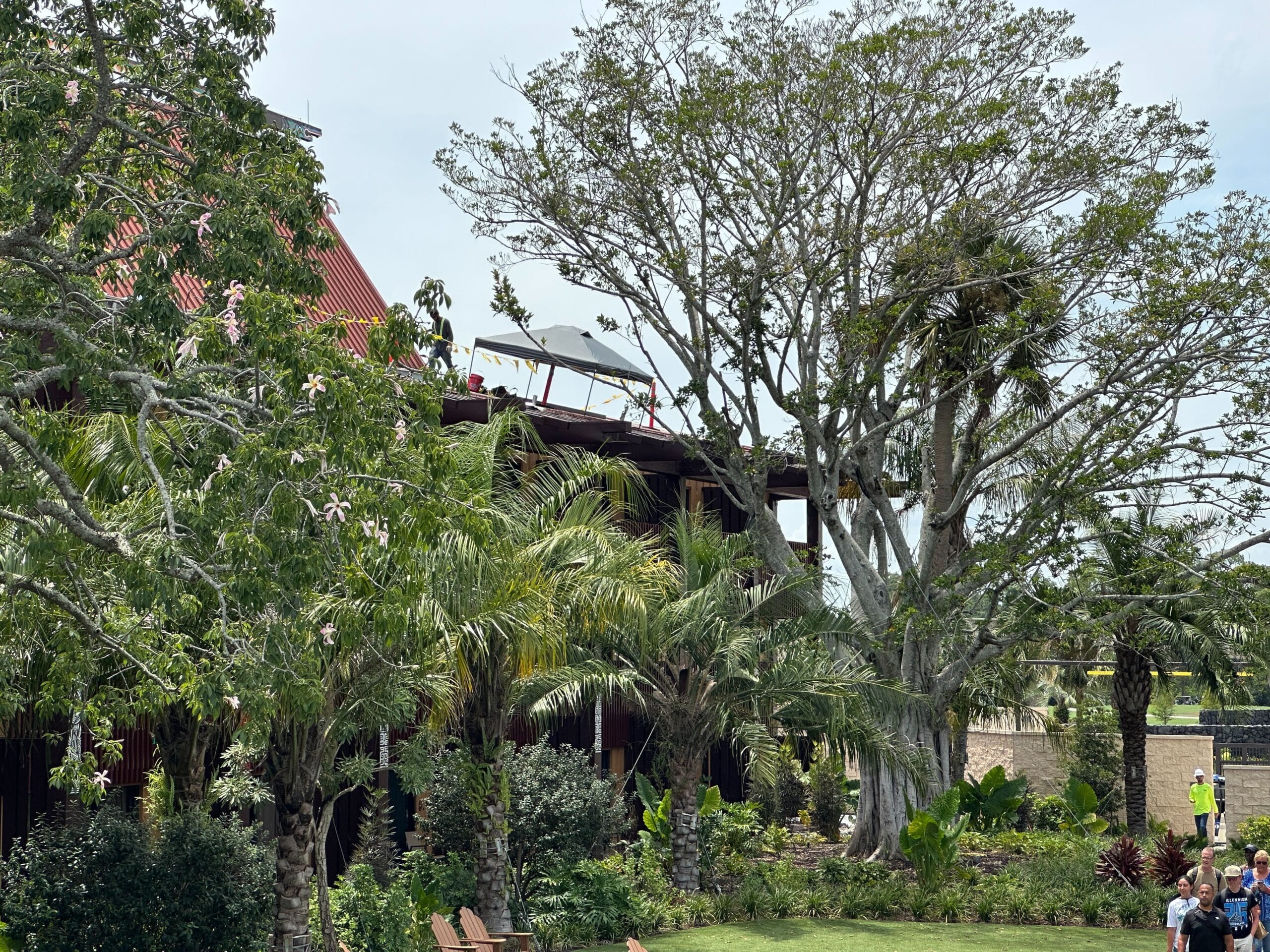 A large tree with lush greenery surrounds a building with a red roof and people standing on an outdoor balcony.