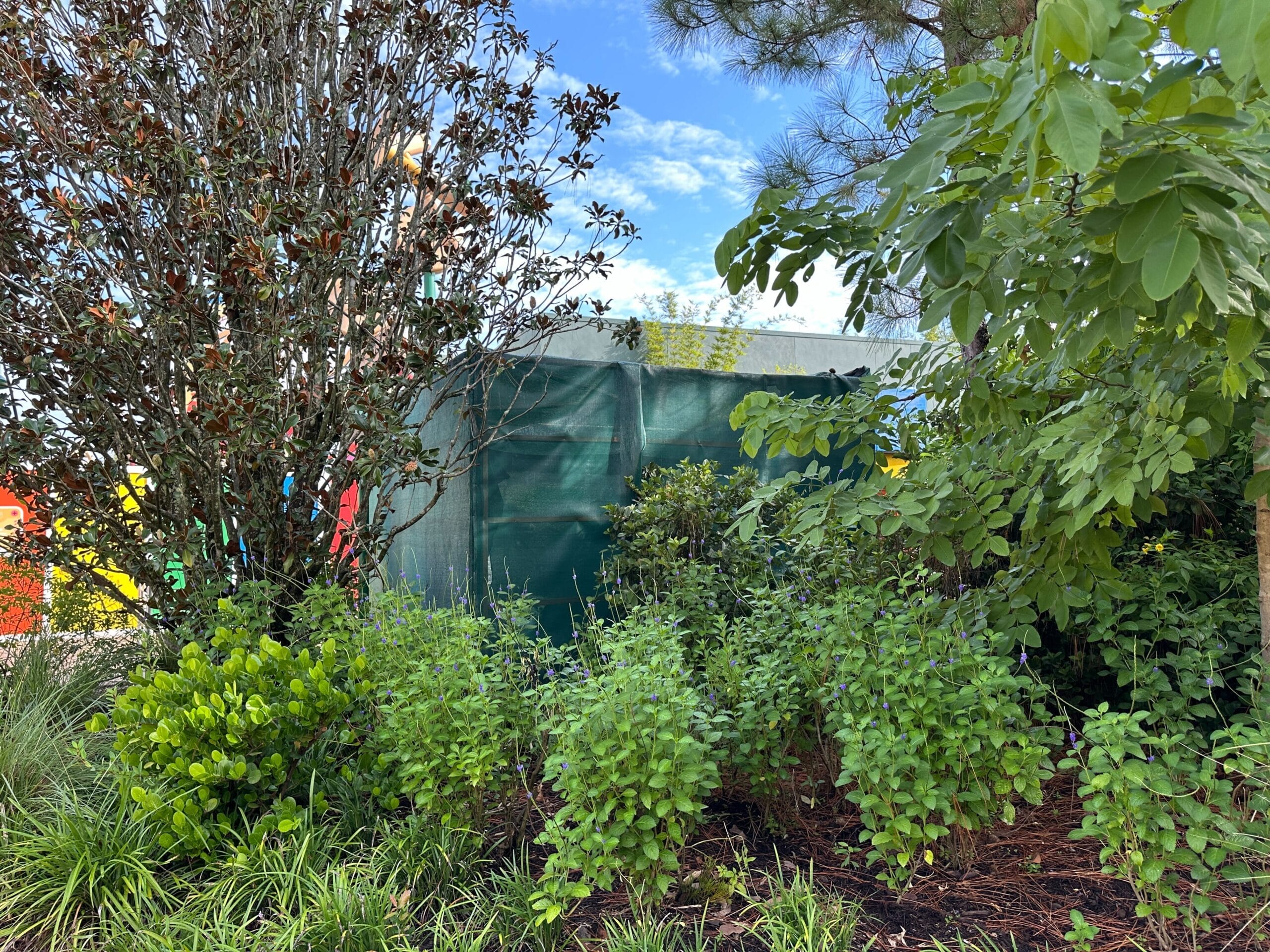 Green plants and bushes line a mesh fence near Toy Story Land at Hollywood Studios, with blue sky and clouds above.