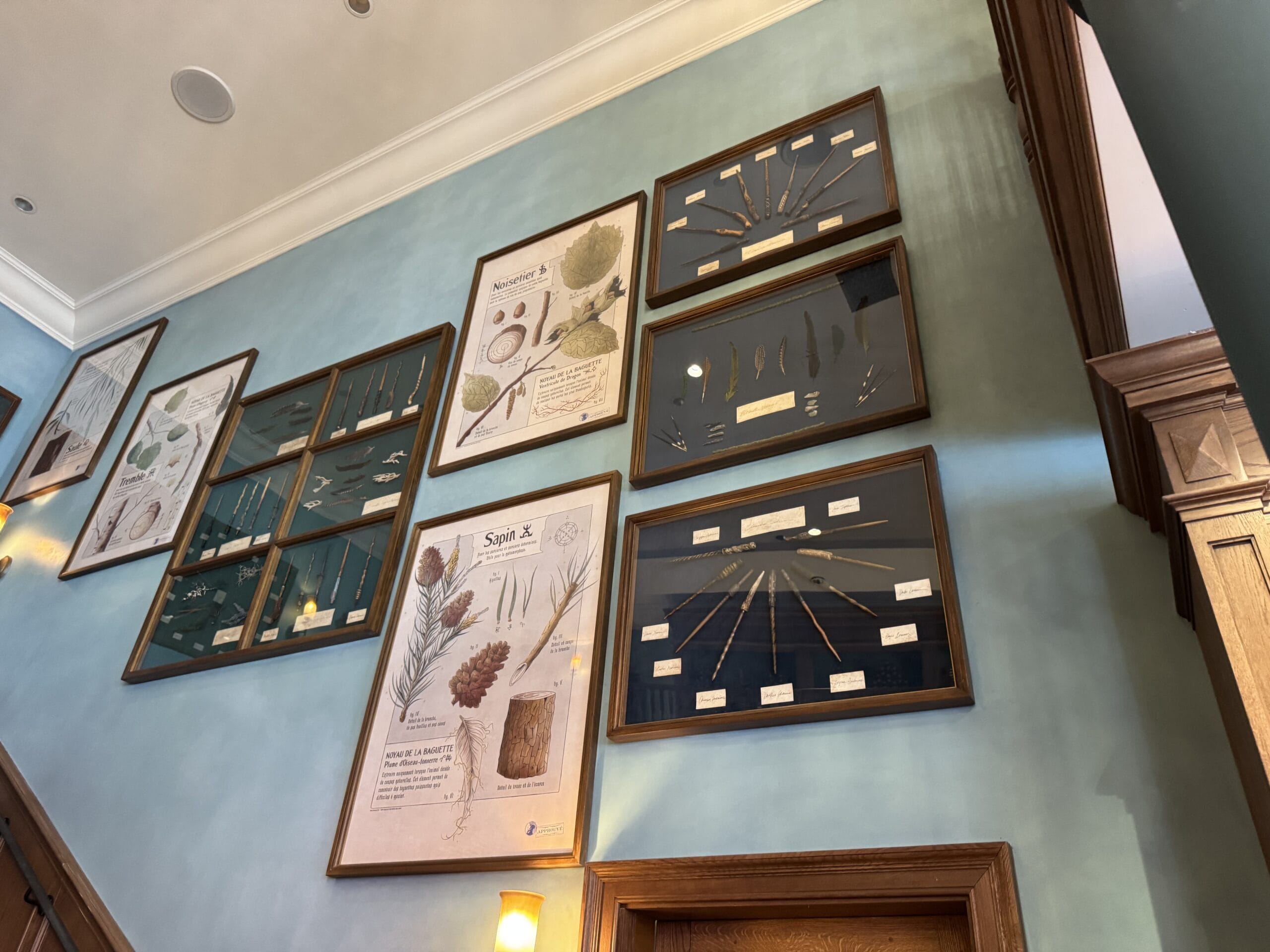 Framed botanical diagrams by Cosme Acajor hang on a light blue wall above a wooden doorway and staircase.