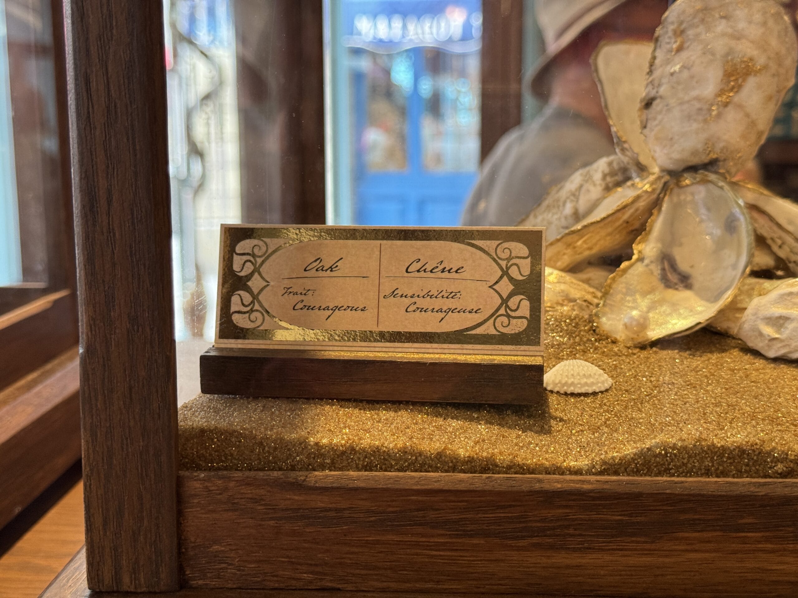 A gold placard with French and English, marked "Cosme Acajor," sits on sand near seashells in a wooden display case.